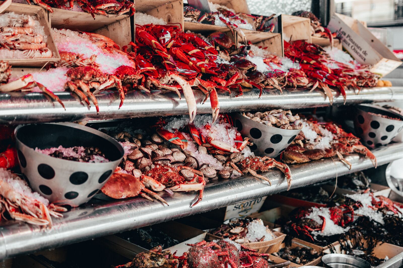 Nikon D3400 sample photo. Fish, market, seafood photography
