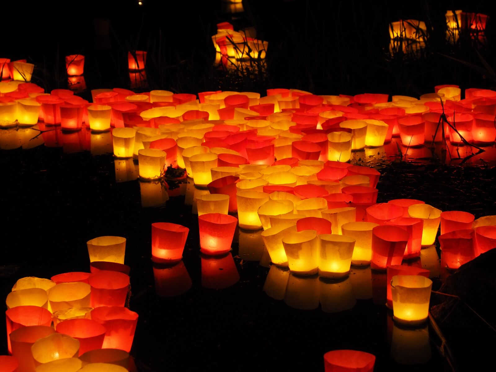 Olympus OM-D E-M1 + Olympus M.Zuiko Digital ED 12-40mm F2.8 Pro sample photo. Candles, lights serenade, river photography