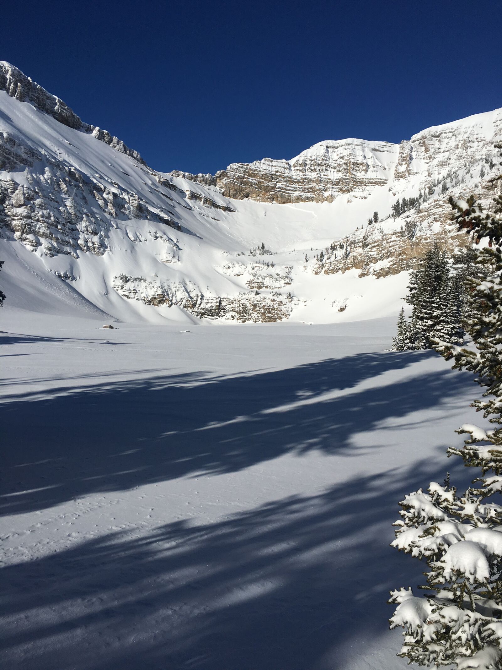 iPhone 6s back camera 4.15mm f/2.2 sample photo. Rockymountains, winterpow, mexicoski photography