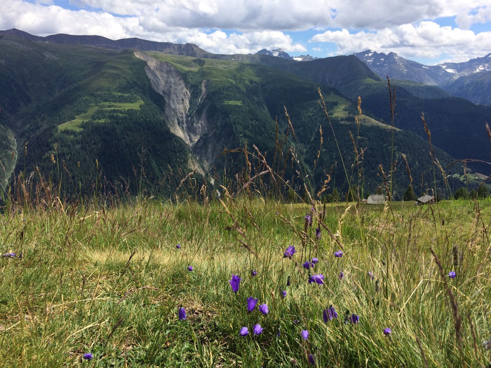 iPhone 5s back camera 4.15mm f/2.2 sample photo. Alpine, nature, mountains photography