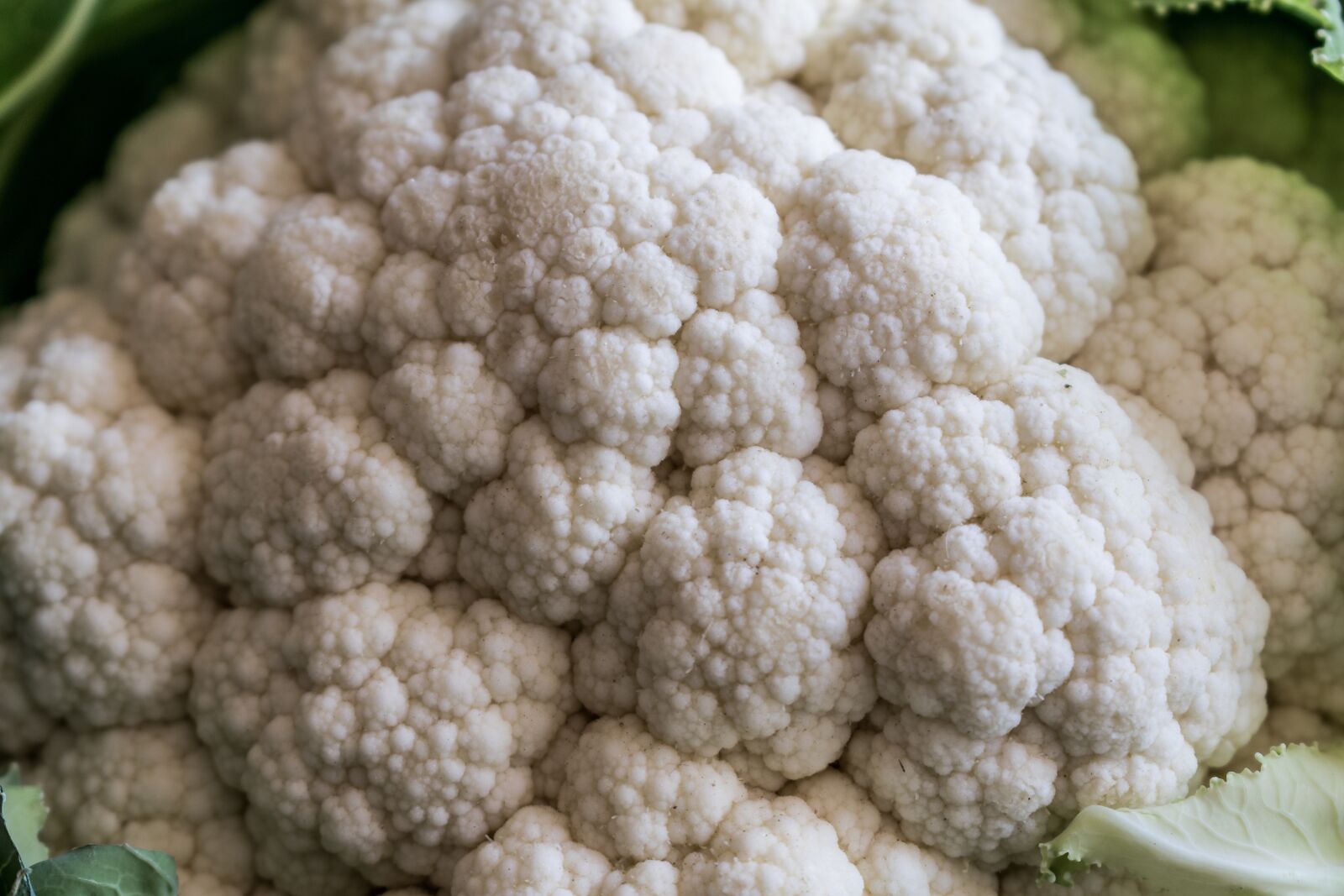 Nikon D5300 sample photo. Cauliflower, vegetables, vegetable photography