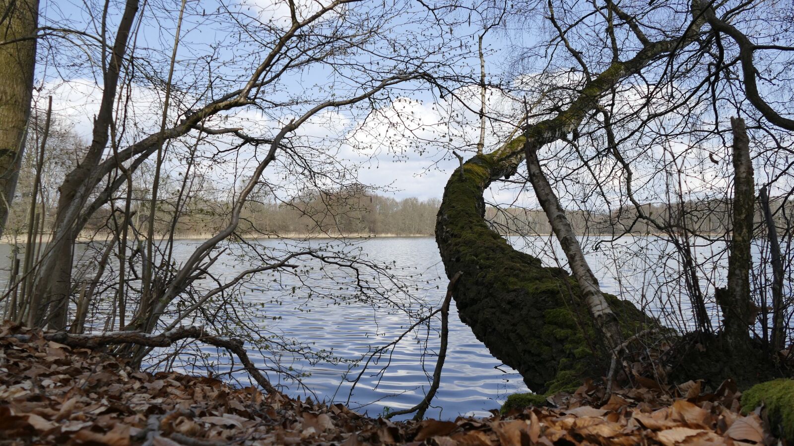 Panasonic Lumix DMC-FZ1000 sample photo. Nature, water, lake photography