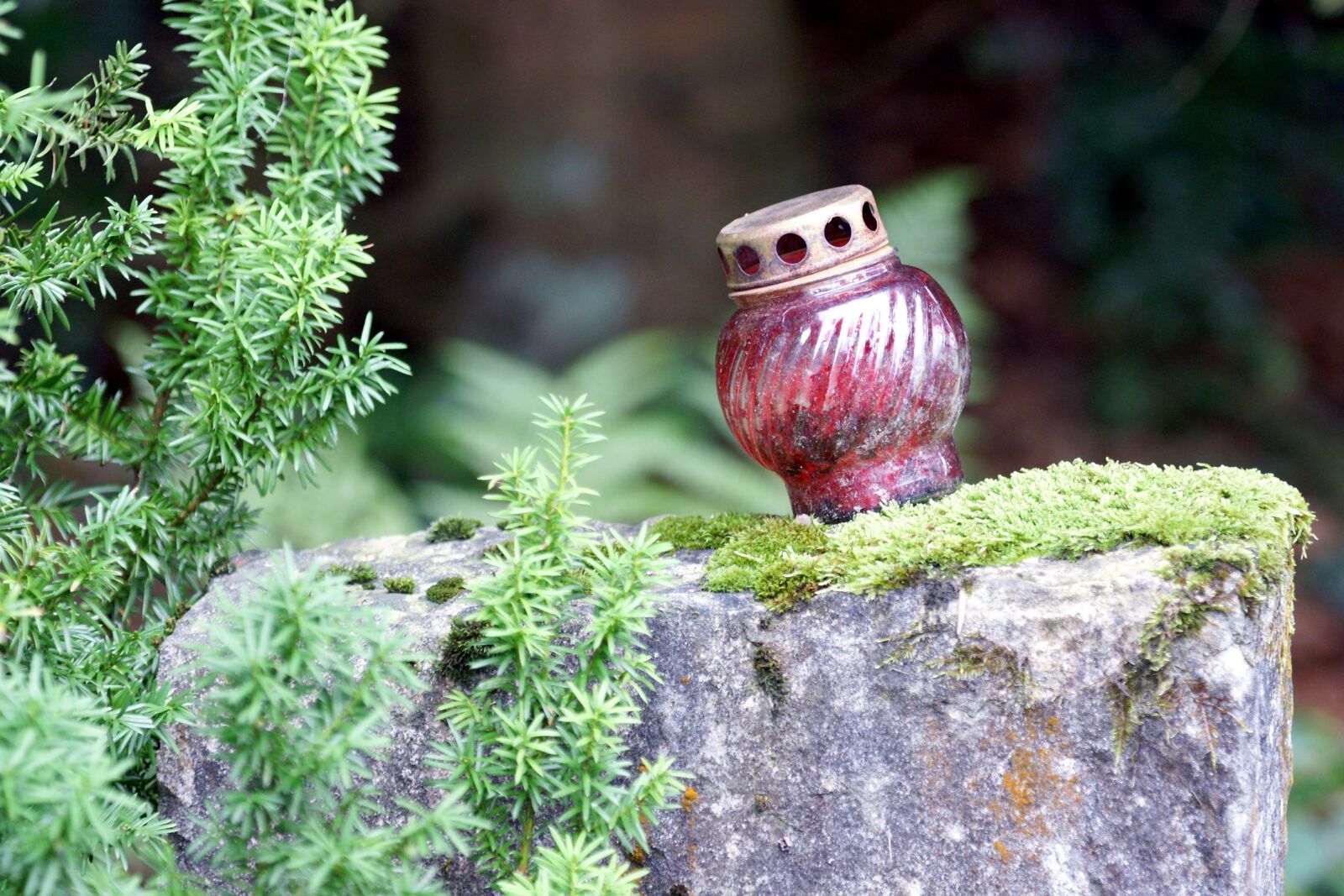 Sony Alpha DSLR-A700 sample photo. Grave light, candle, burn photography