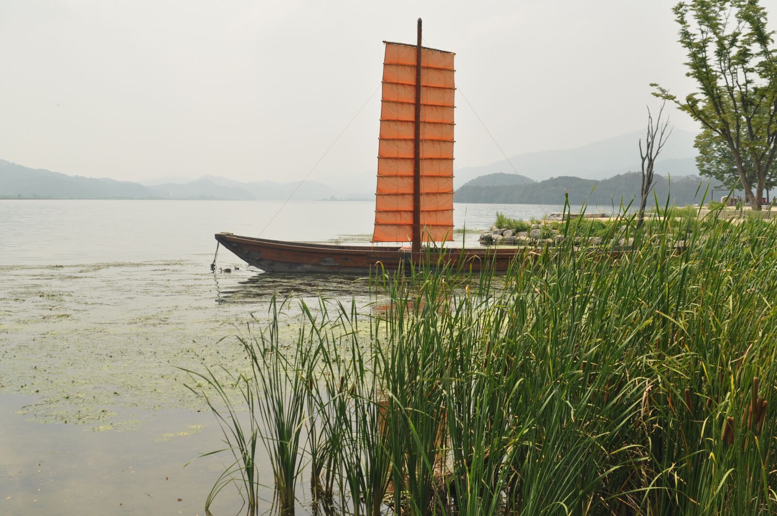 Nikon D90 sample photo. Landscape, nature, fishermen photography