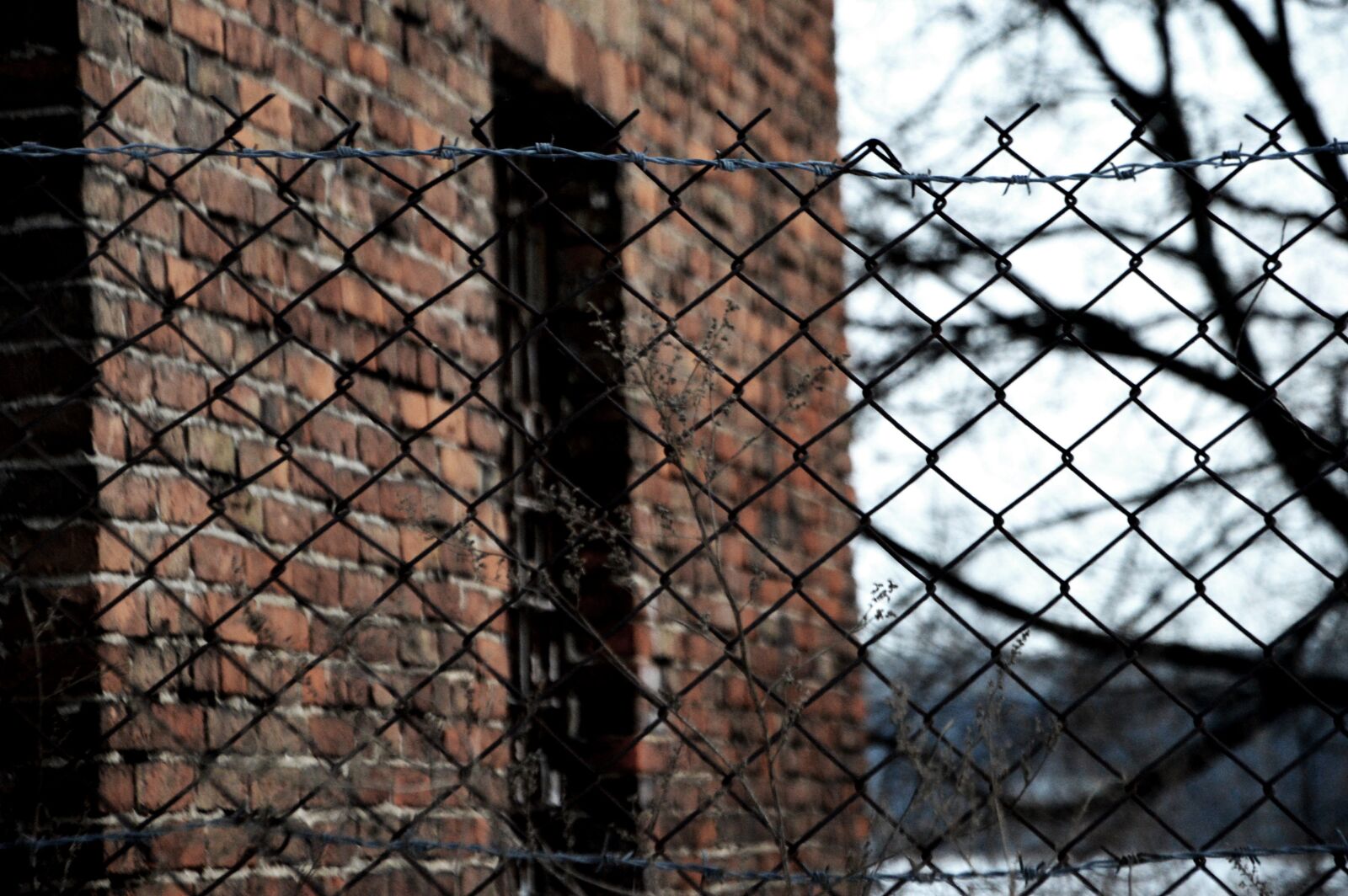 Nikon D3200 sample photo. Brick, the walls of photography