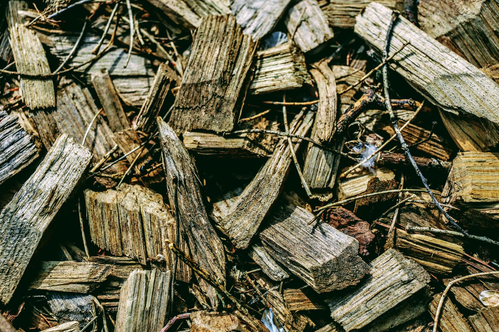 Canon EF 40mm F2.8 STM sample photo. Wood, nature, batch photography