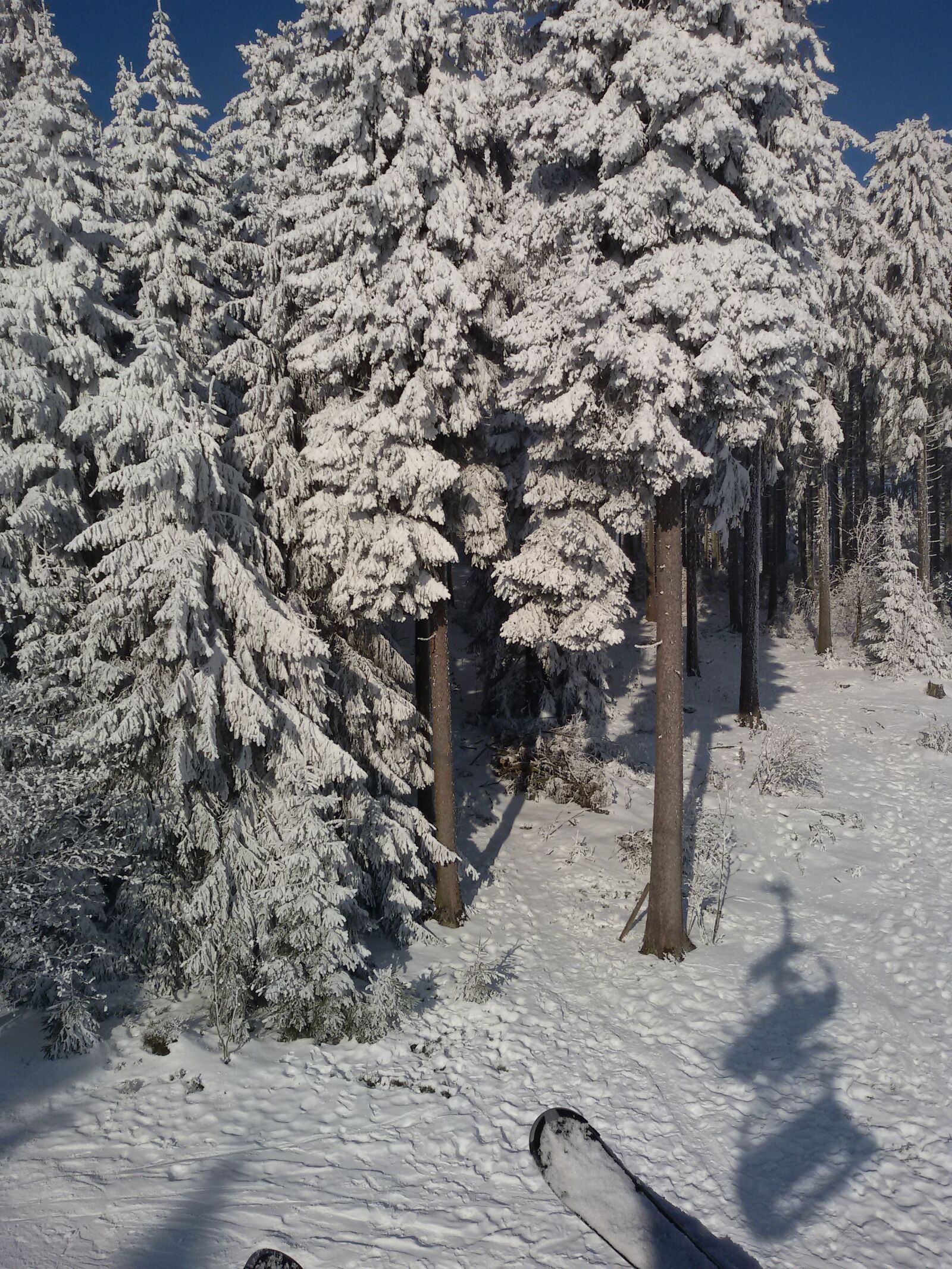 Samsung Galaxy S3 Neo sample photo. Winter, the winter's tale photography