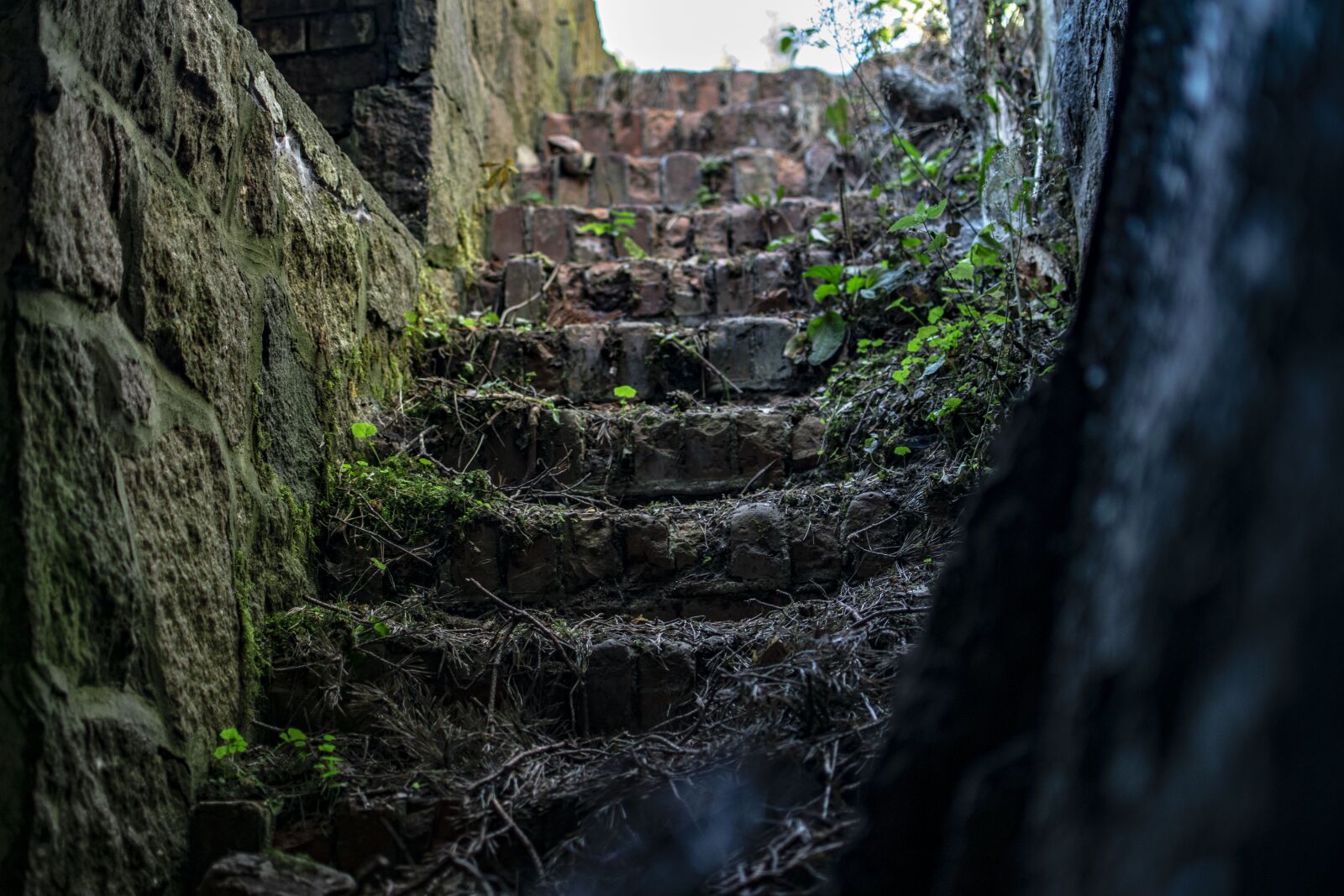 Nikon D3300 sample photo. Upgrade, bunker, stair step photography