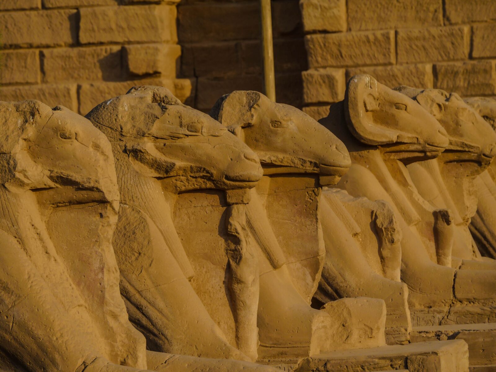 Panasonic Lumix DMC-GX8 sample photo. Aries, temple, karnak photography
