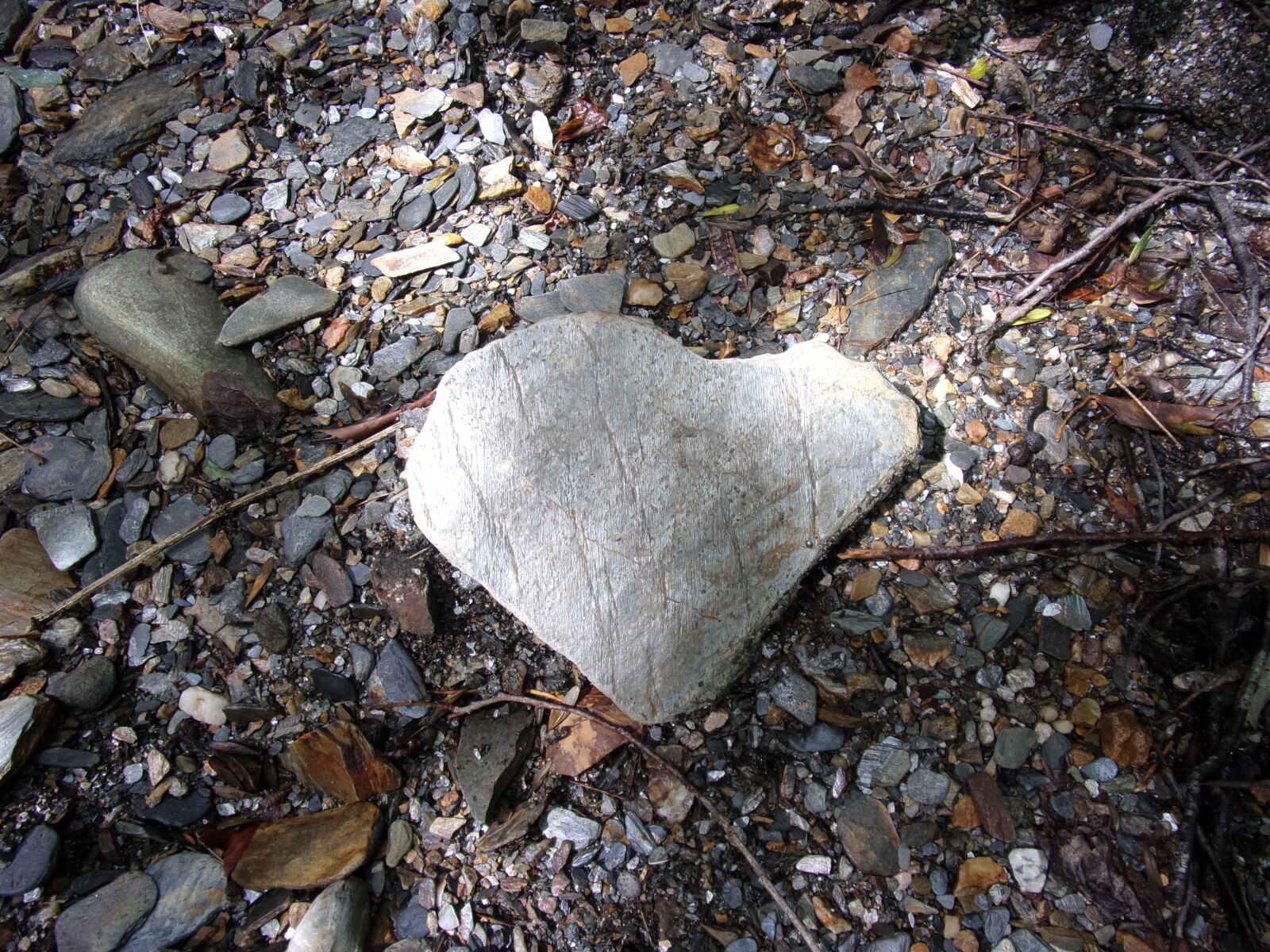 Kodak PIXPRO FZ151 sample photo. Heart, pierre, love photography