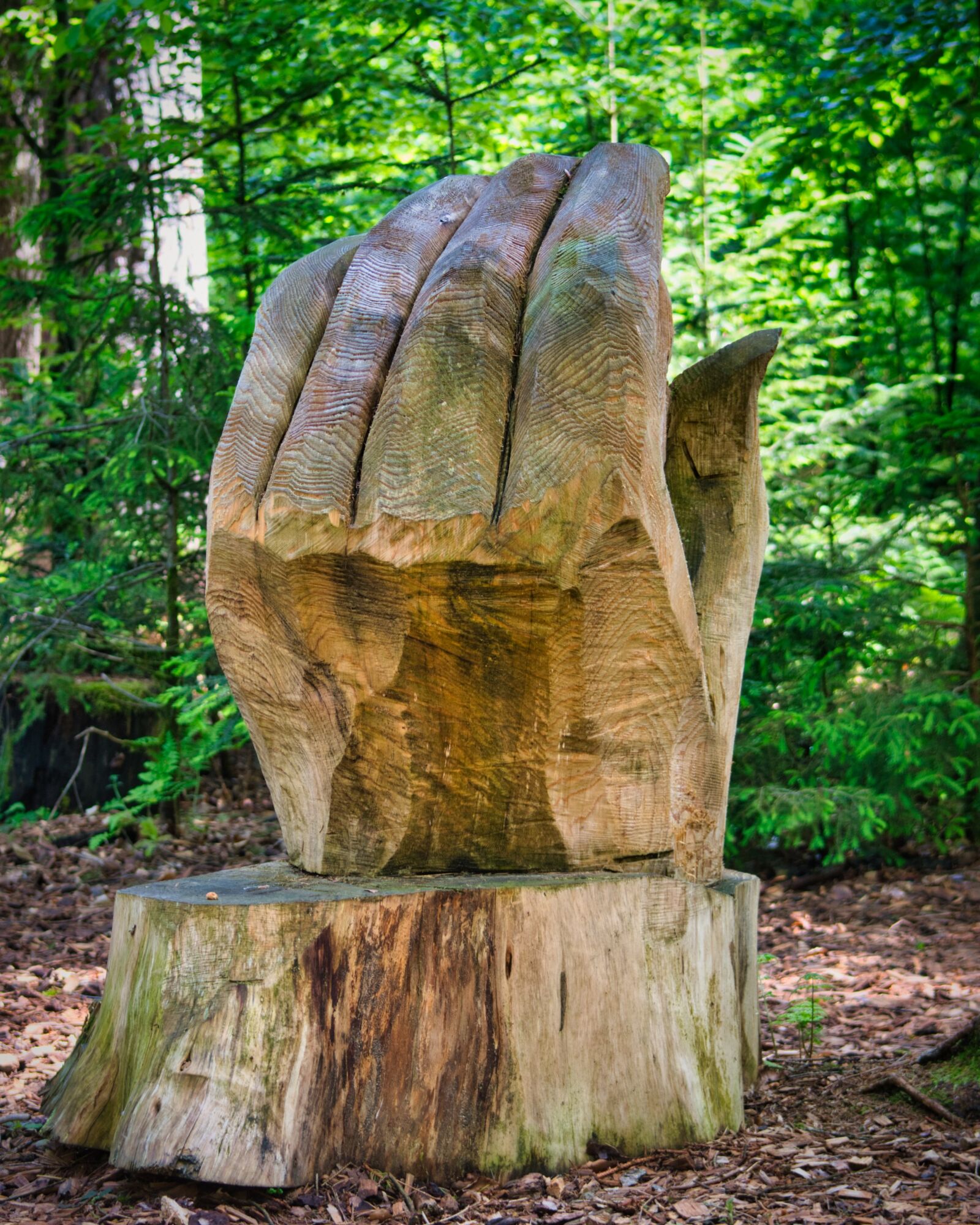 Nikon D7500 sample photo. Chainsaw art, figure, carving photography