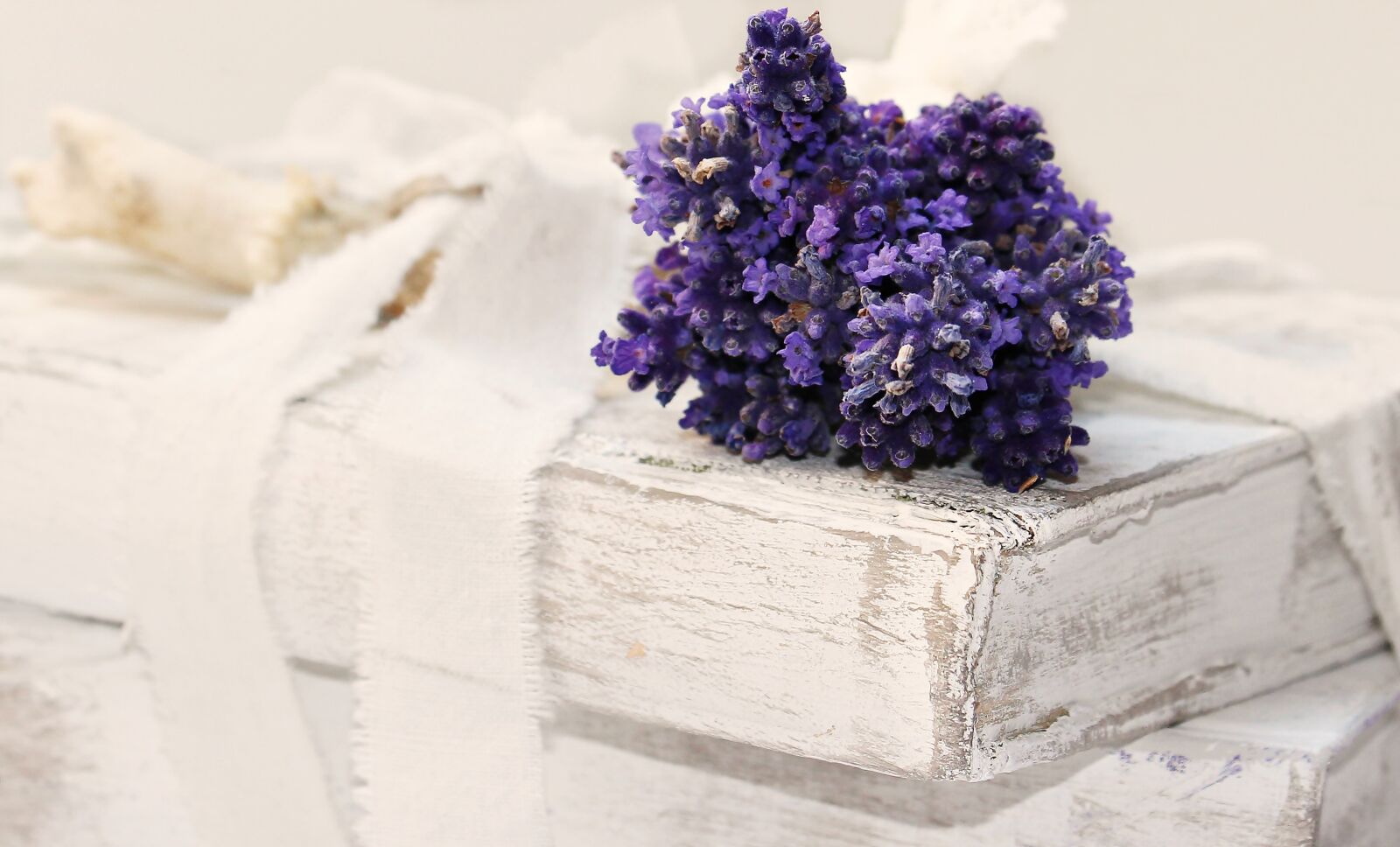 Canon EOS 100D (EOS Rebel SL1 / EOS Kiss X7) sample photo. Lavender, books, worn photography