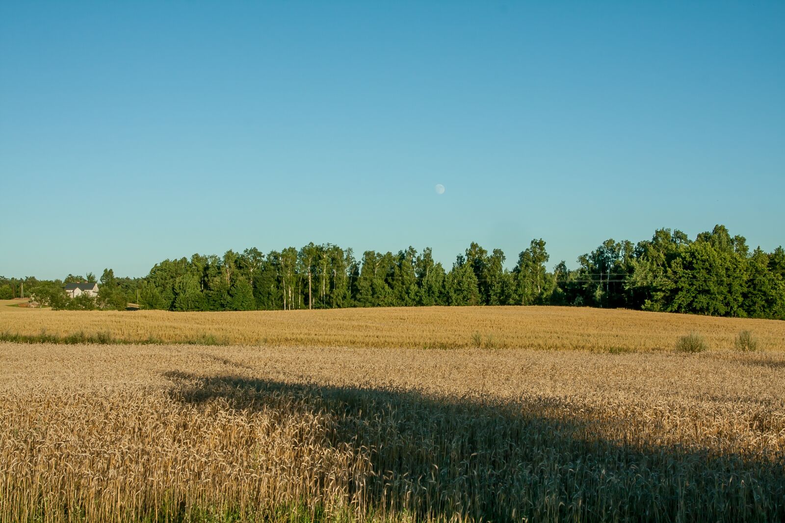 Canon EOS 40D sample photo. Landscape, yields, sky photography