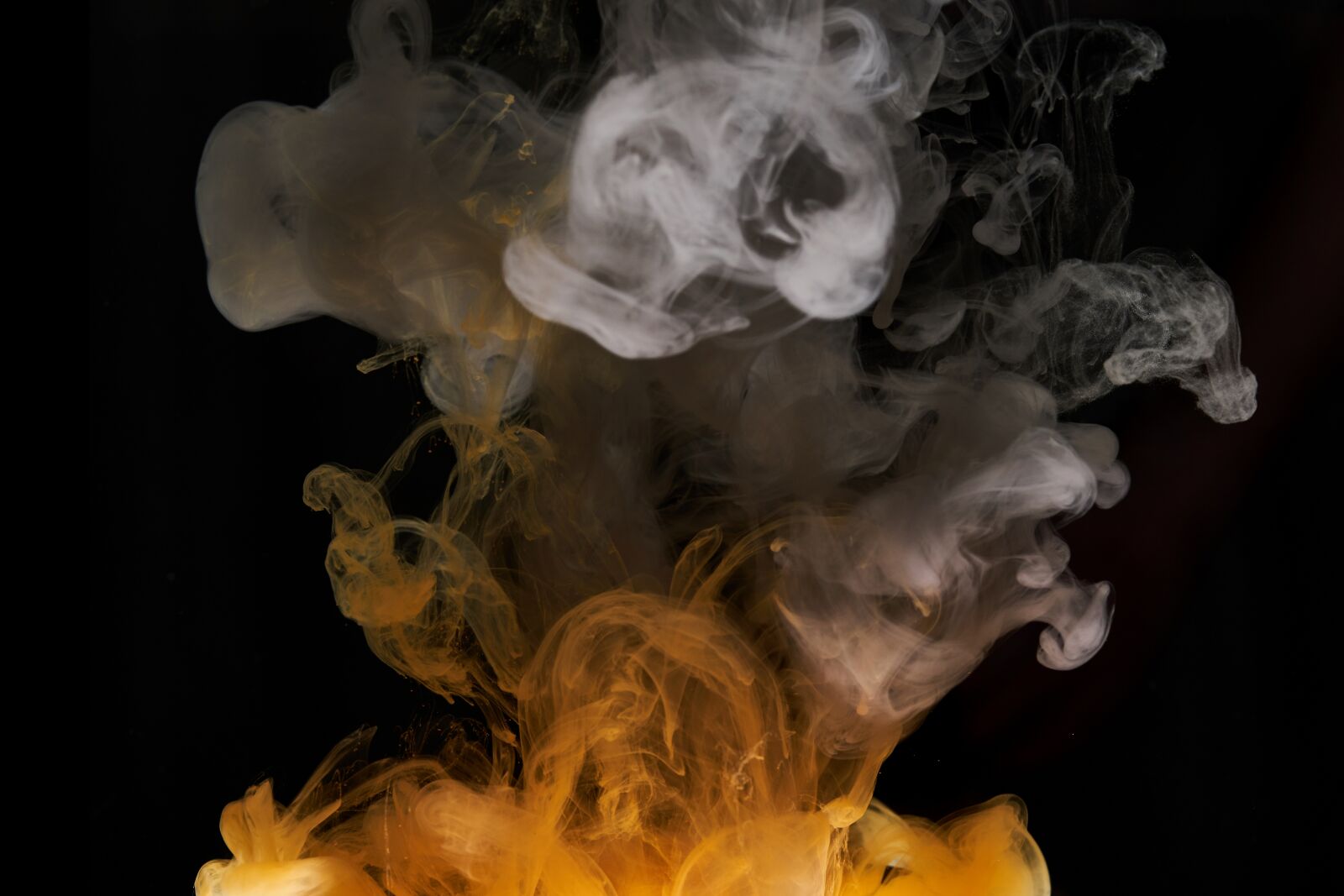 Sigma 85mm F1.4 DG HSM Art sample photo. Abstract, ink, water photography