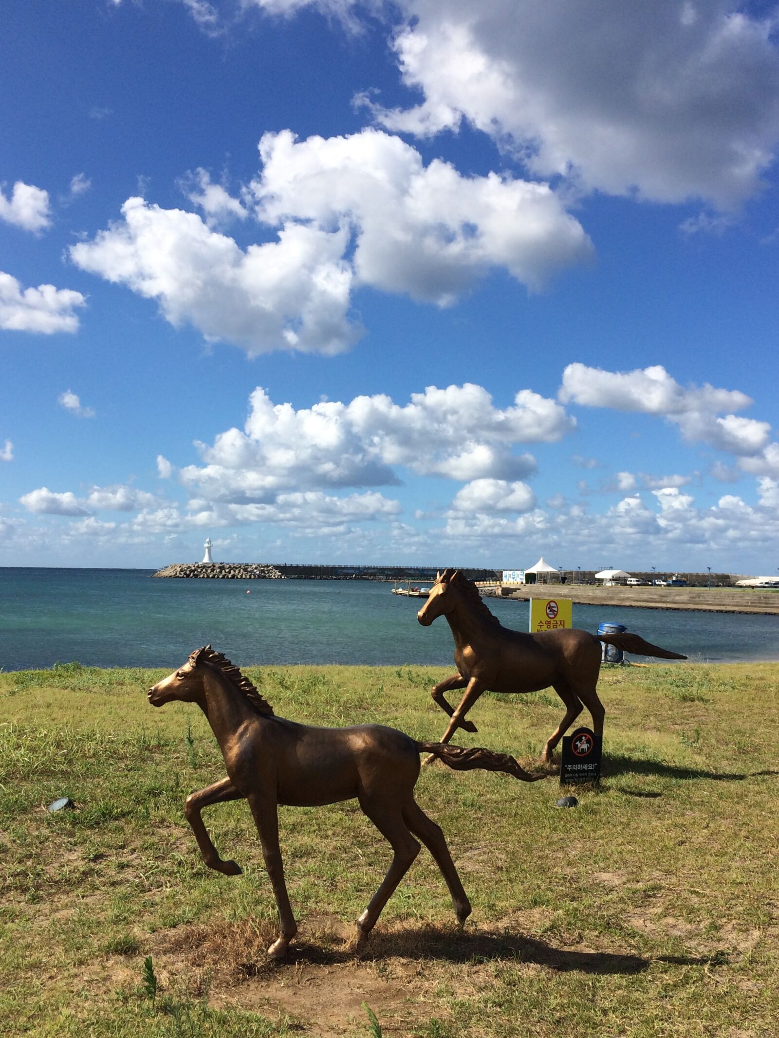 iPhone 5s back camera 4.15mm f/2.2 sample photo. Jeju island, sea, landscape photography