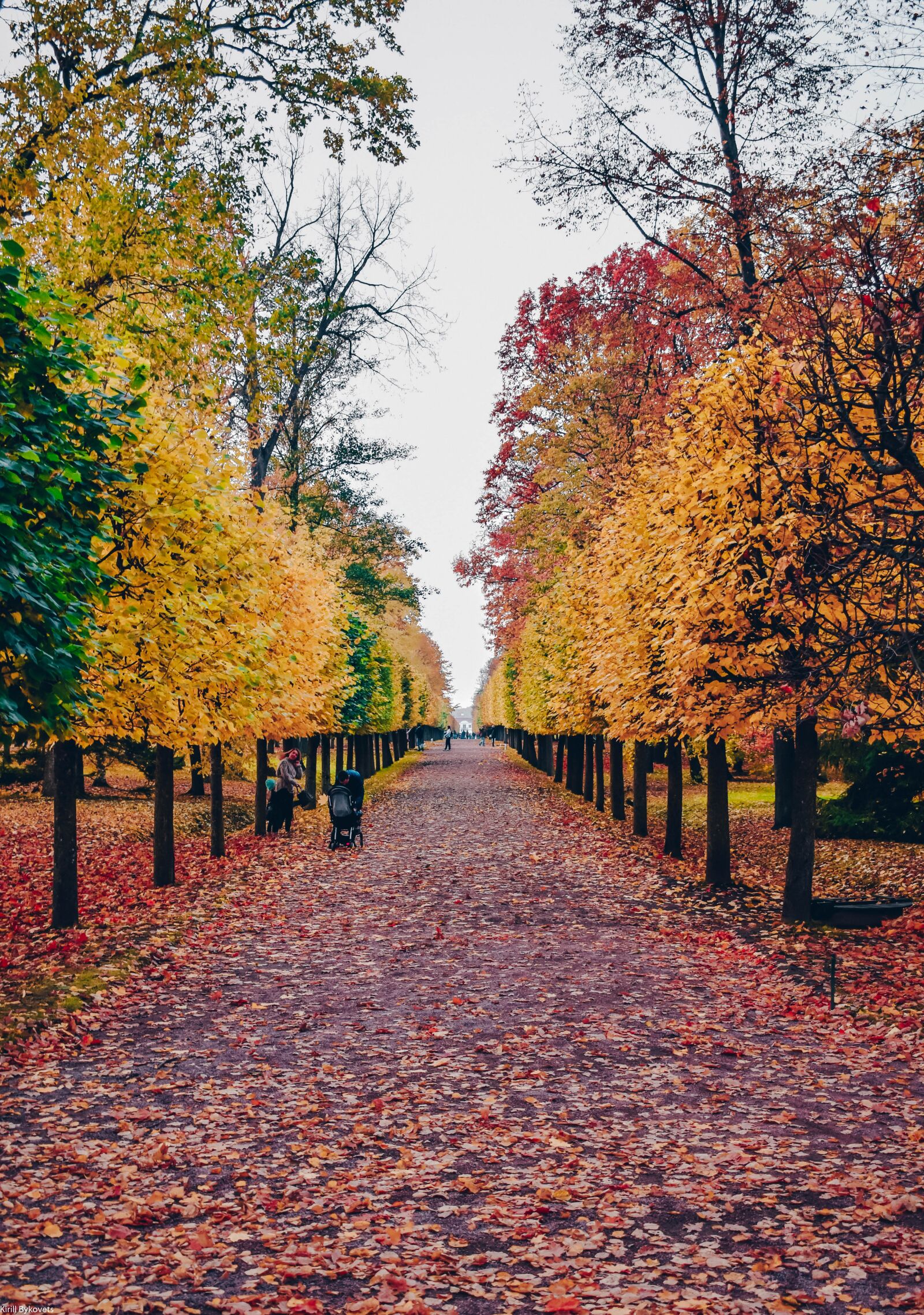Nikon D3400 sample photo. Autumn, nature, season photography