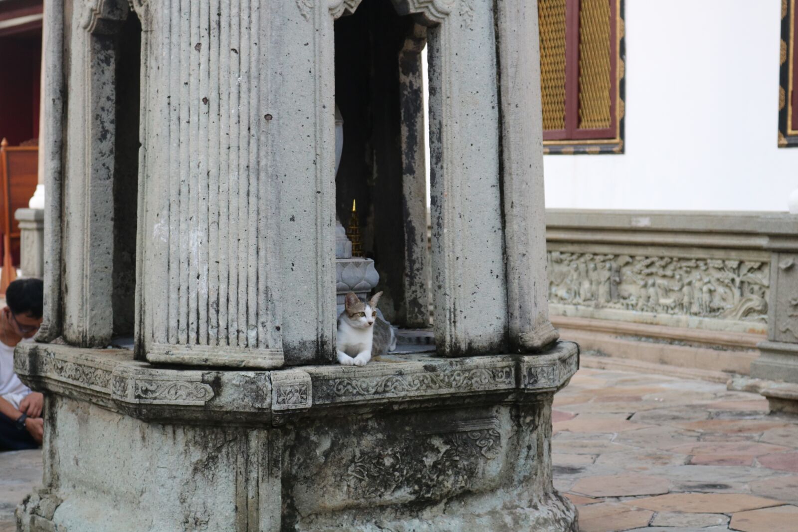 Canon EOS 750D (EOS Rebel T6i / EOS Kiss X8i) sample photo. Thai, temple, cat photography