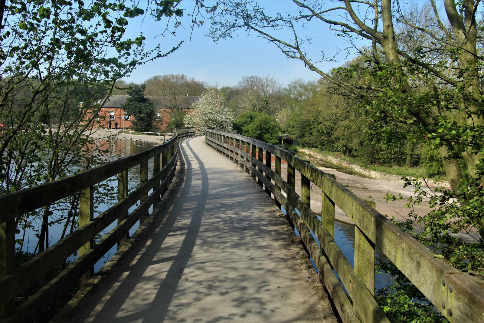 Canon EOS 4000D (EOS Rebel T100 / EOS 3000D) sample photo. Bridge, walkway, path photography