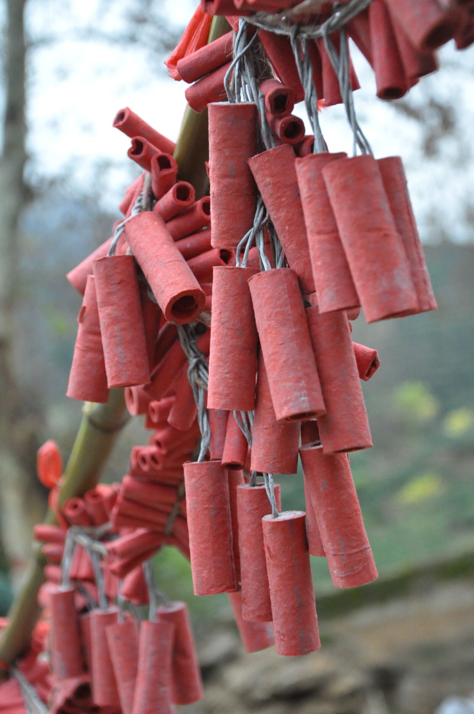 Nikon D90 sample photo. Firecracker, festive, scenery photography