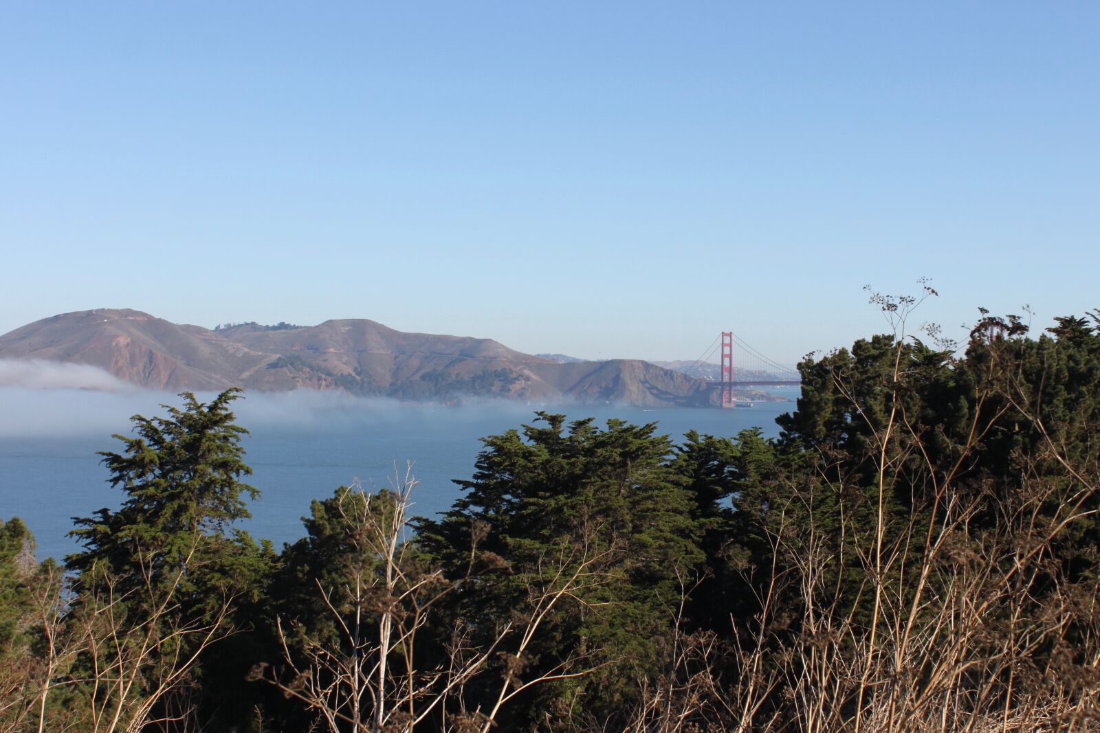 Canon EOS 500D (EOS Rebel T1i / EOS Kiss X3) sample photo. California, san francisco, bridge photography