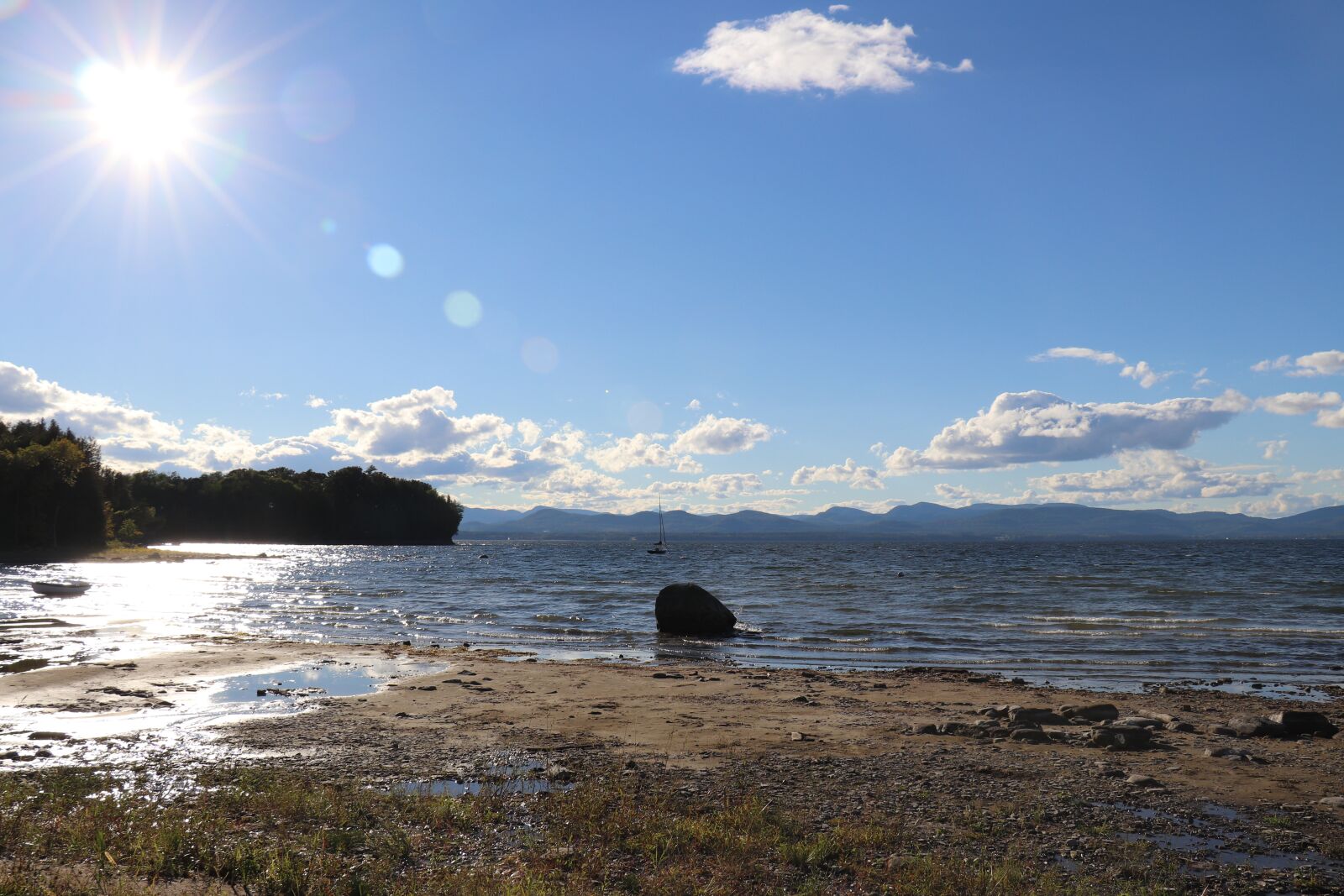 Canon EOS 800D (EOS Rebel T7i / EOS Kiss X9i) + Canon EF-S 18-135mm F3.5-5.6 IS STM sample photo. Beech, sky, sun photography