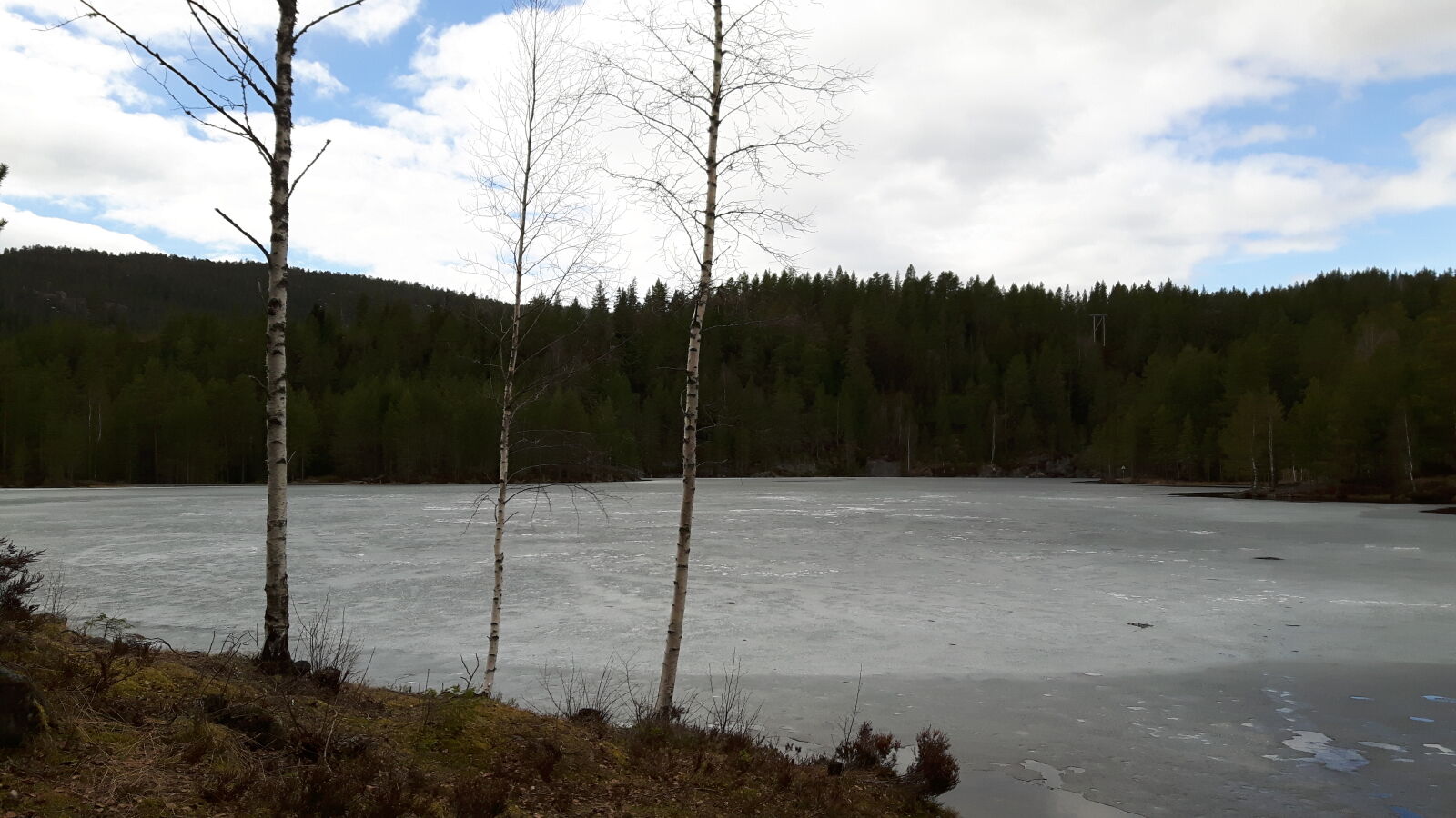 Samsung Galaxy S5 Neo sample photo. Blue, forest, frozen, lake photography