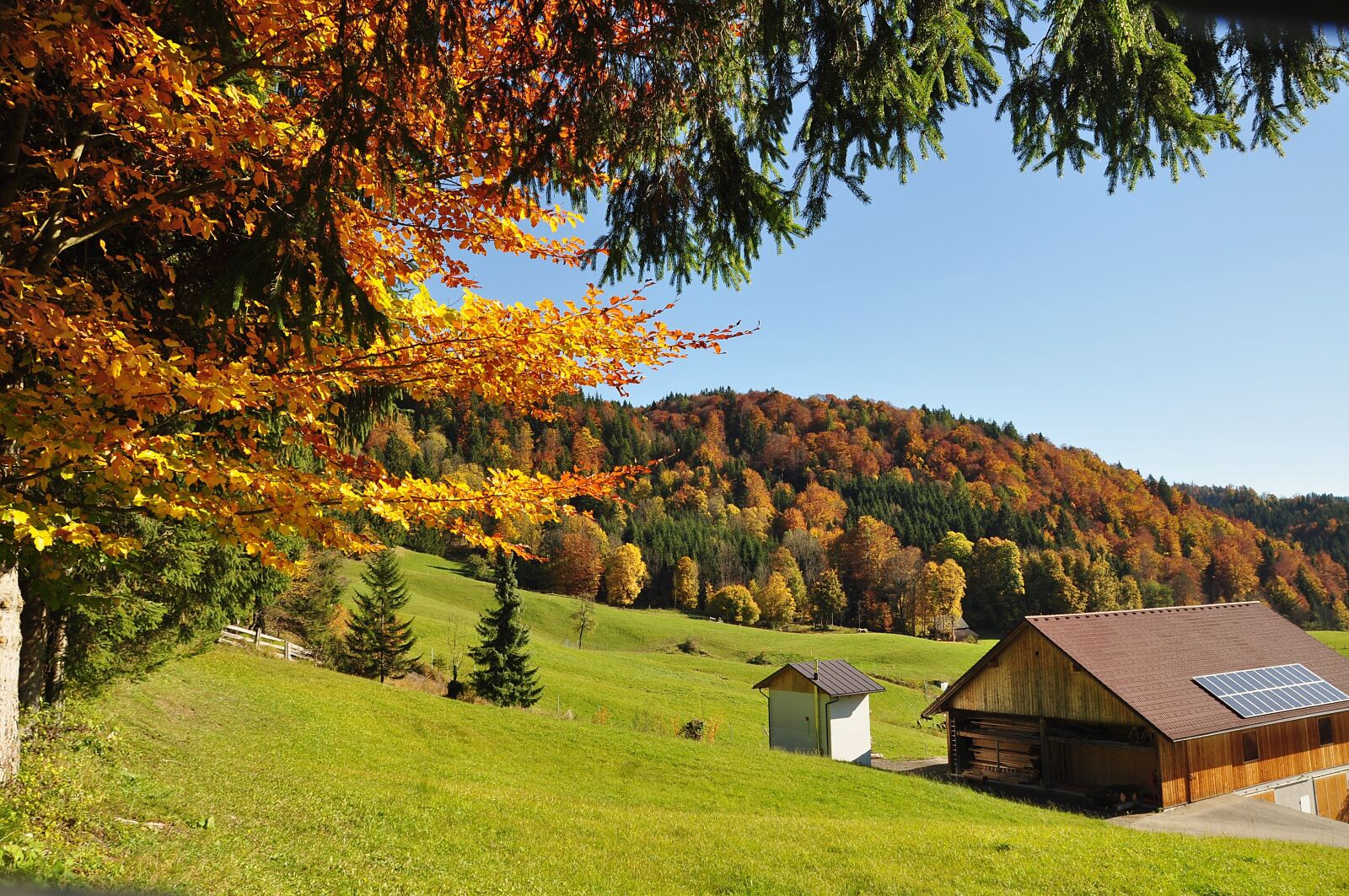 Nikon D90 sample photo. Autumn, autumn mood, nature photography
