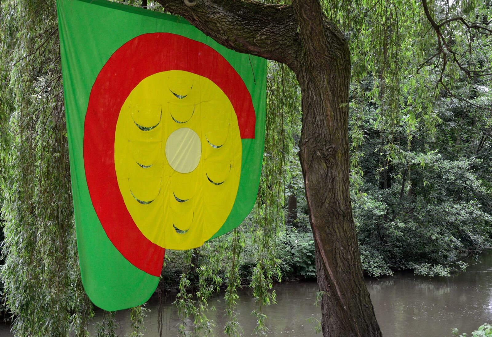 Nikon D5100 sample photo. Flag, art, nature photography