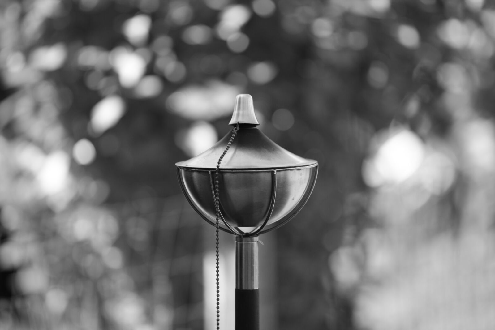 Canon EOS 5D Mark II sample photo. Black and white, torch photography