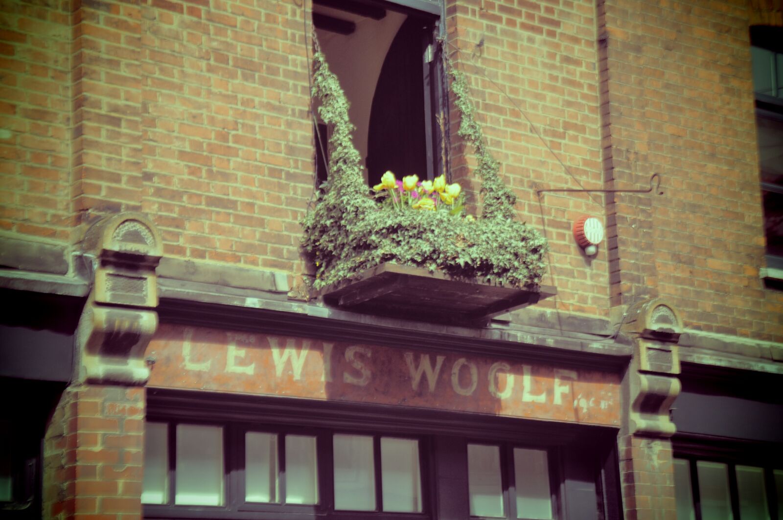 Nikon D90 sample photo. Building, building, exterior, flowers photography