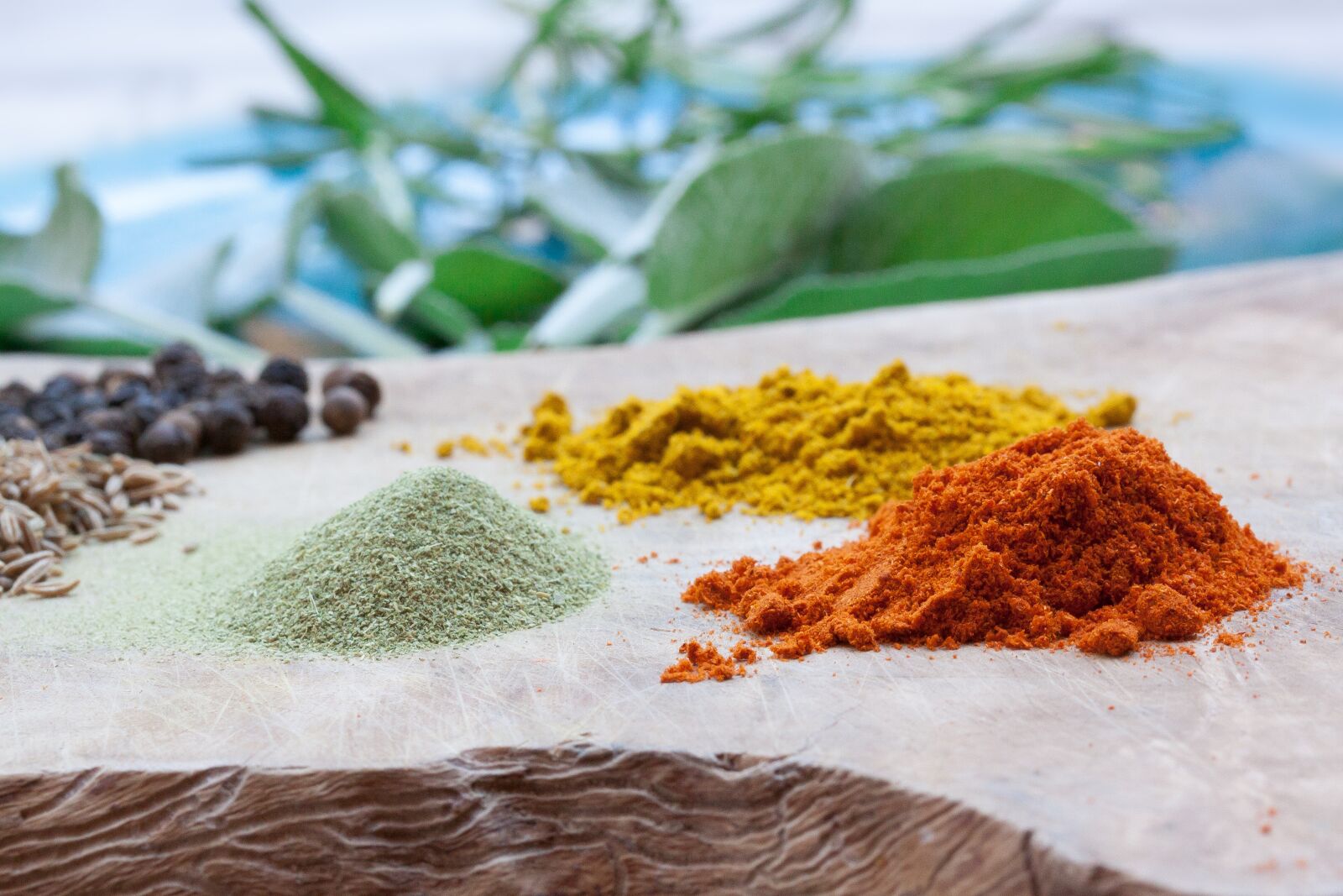 Canon EOS 50D sample photo. Spice, paprika, kaffir photography
