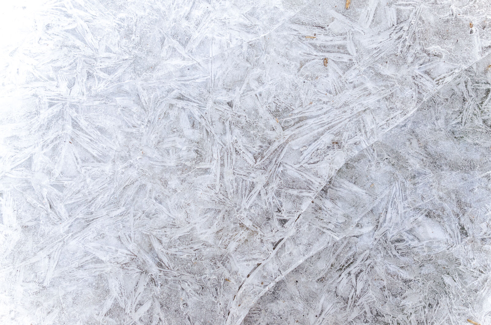 Nikon D5100 sample photo. Abstract, arctic, backdrop, background photography