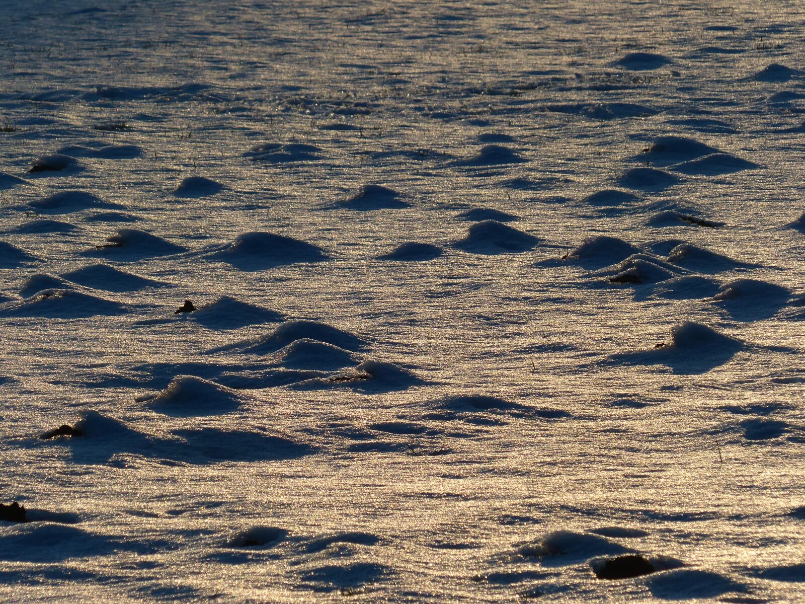Panasonic Lumix DMC-FZ200 sample photo. Wintry, winter, frozen photography