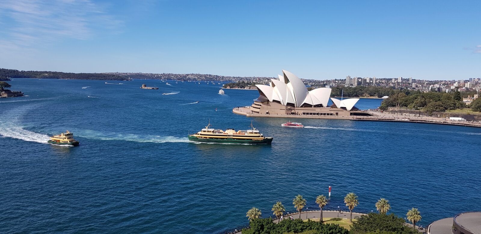 Samsung Galaxy S8+ sample photo. Australia, sydney, new south photography