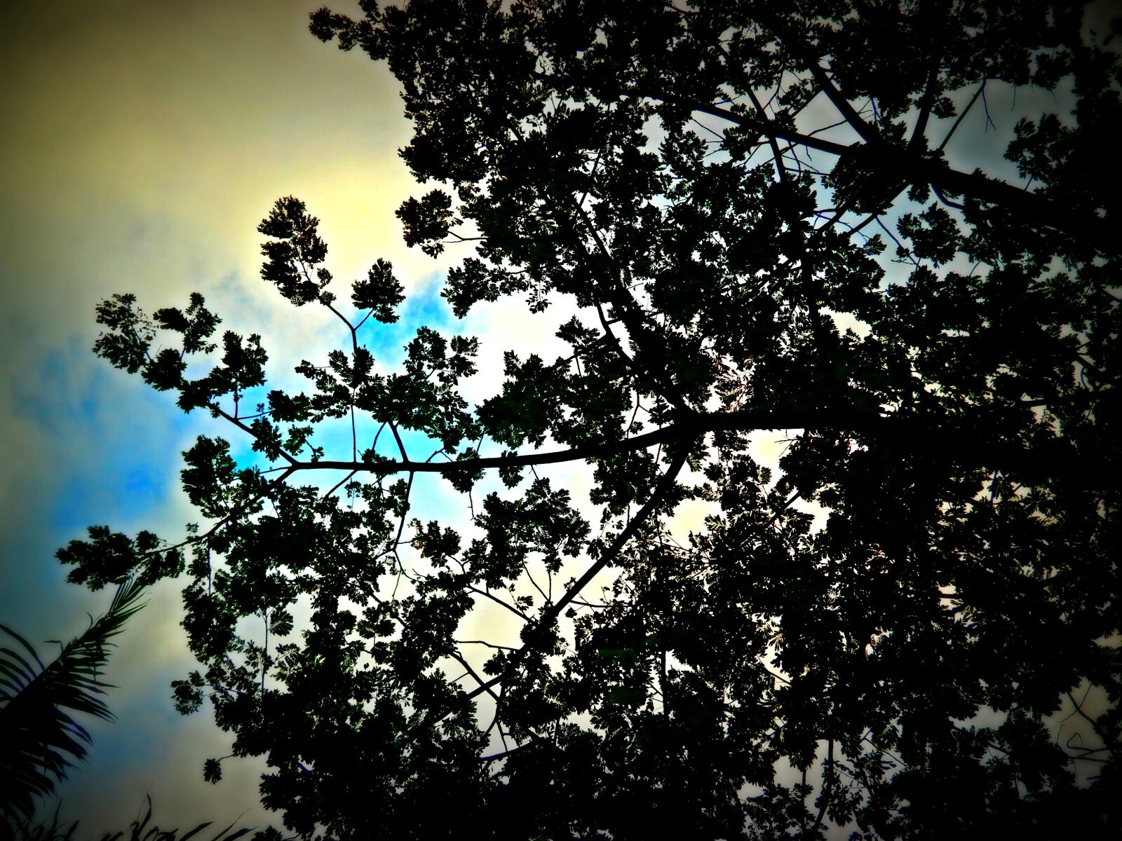 Olympus VG180,D770 sample photo. Sky photography