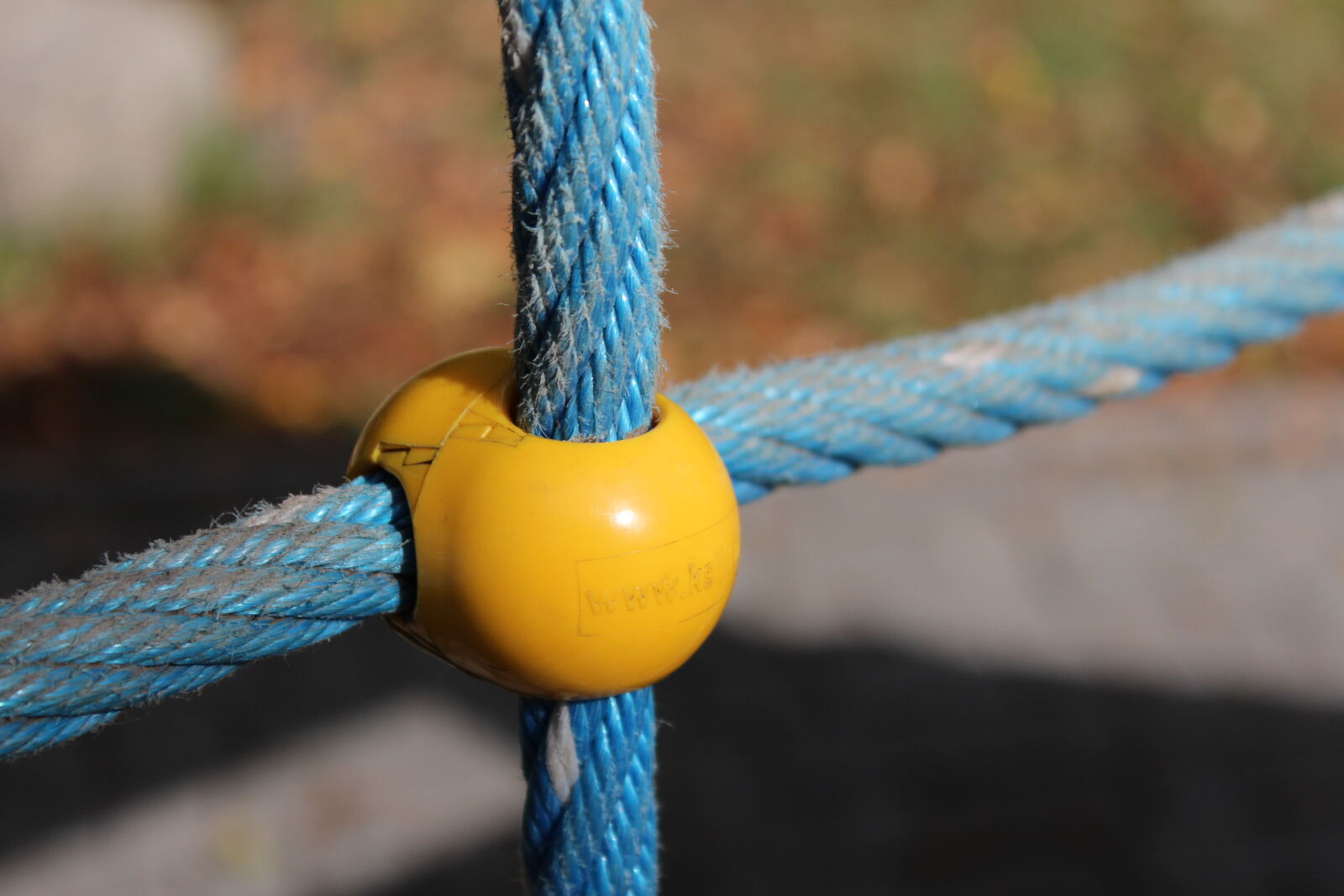 Canon EOS 650D (EOS Rebel T4i / EOS Kiss X6i) sample photo. Link, macro, net, object photography
