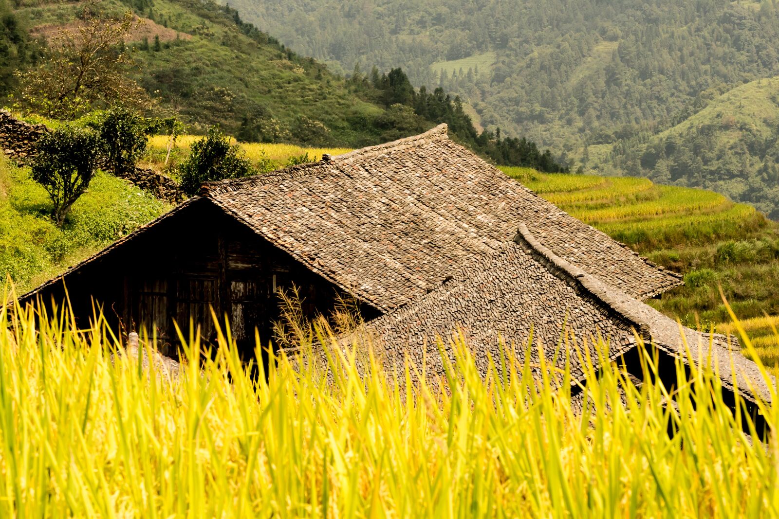 Nikon D610 sample photo. Work houses, longji terrace photography