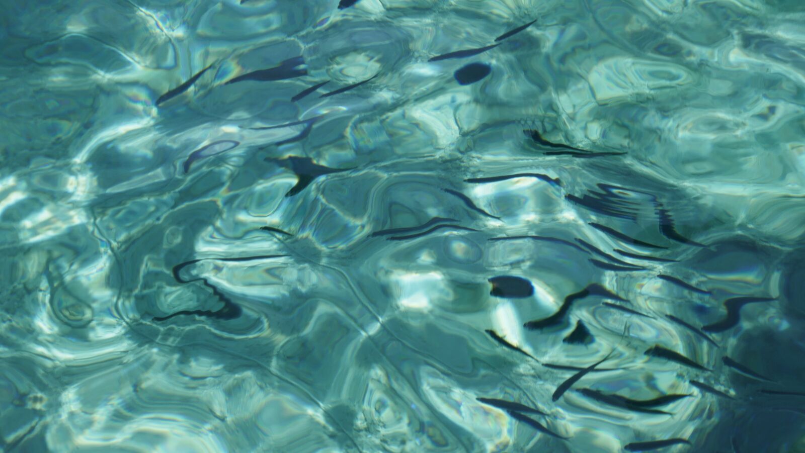 Panasonic DMC-TZ101 sample photo. Water, water surface, movement photography