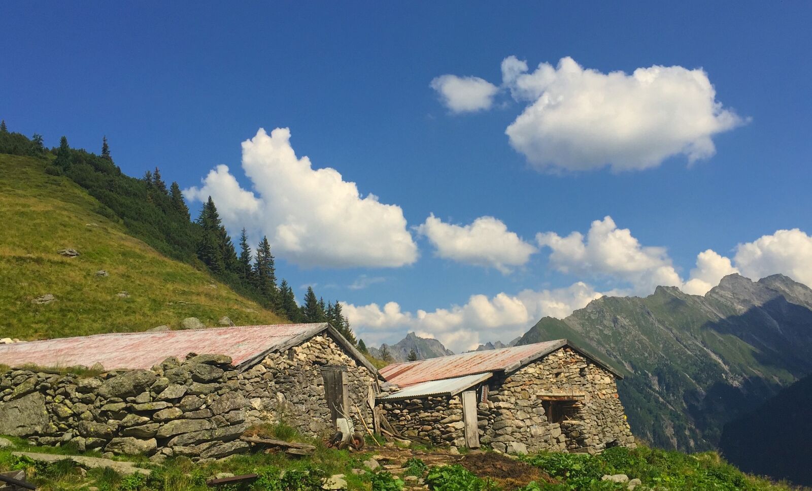 Apple iPhone 6 sample photo. Stall, alm, nature photography
