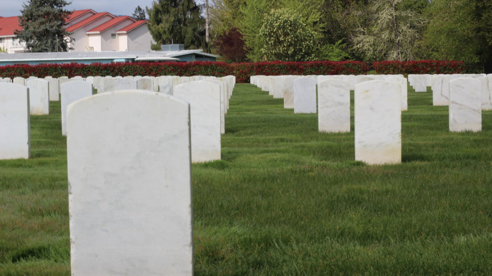 Canon EF 50mm F1.8 STM sample photo. Bold, brave, cemetary, sacred photography