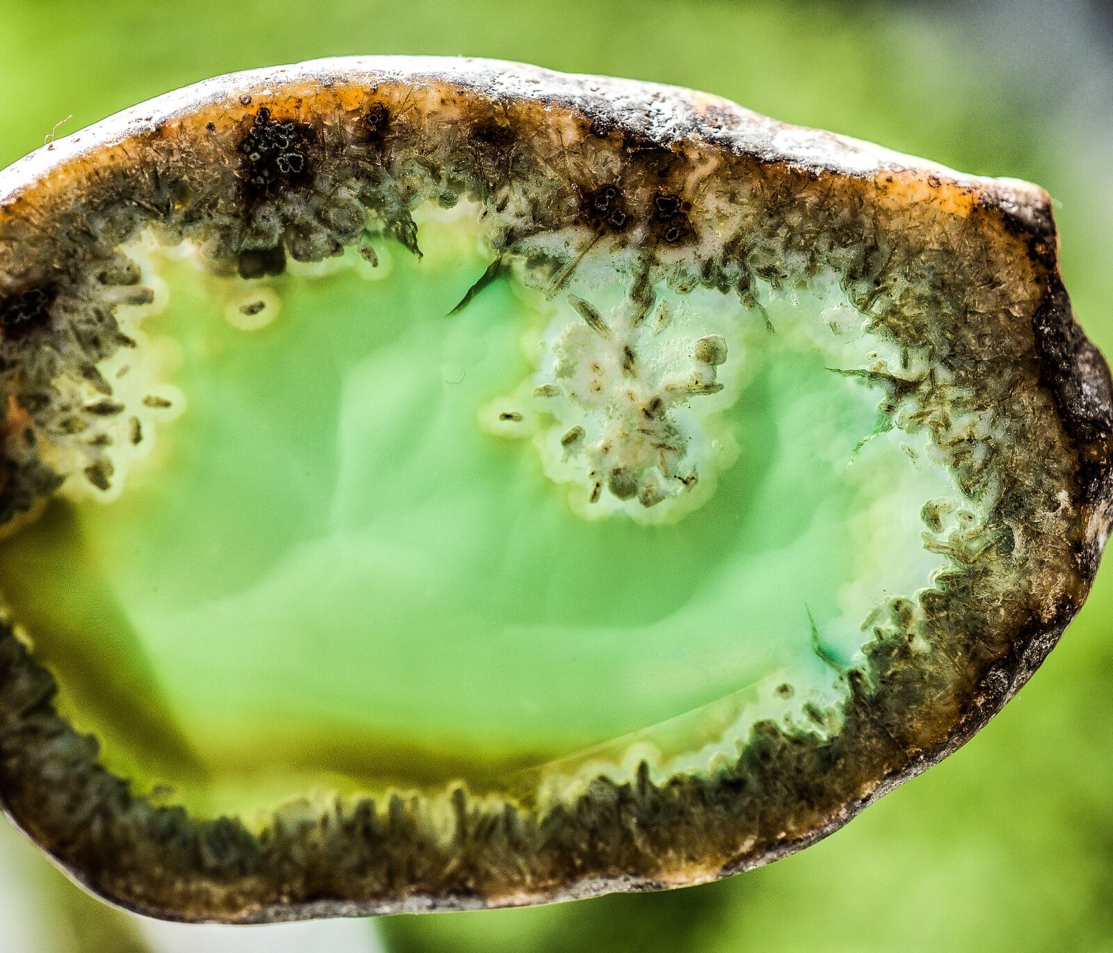 Nikon D5200 sample photo. Agate, stone, gem photography