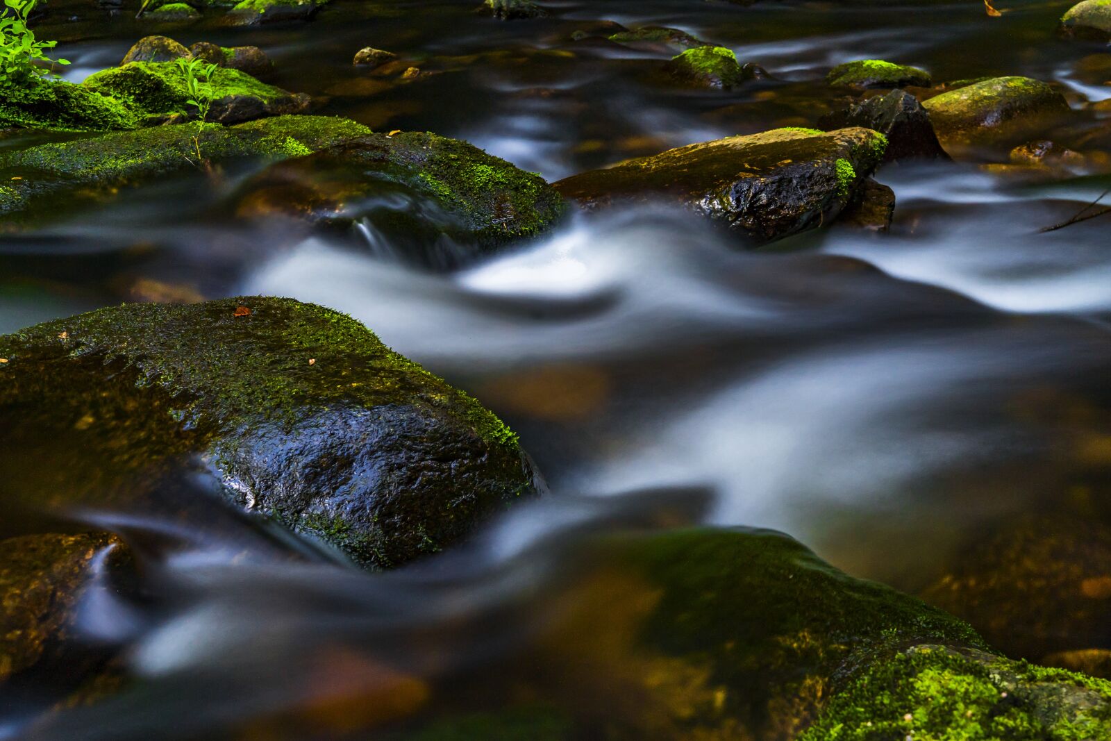 Sony a6300 + Sigma 30mm F2.8 EX DN sample photo. Water, river, nature photography