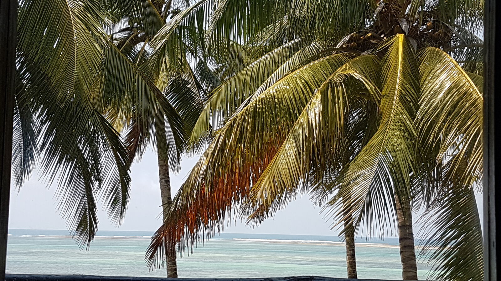 Samsung Galaxy S7 Edge sample photo. Beach, coast, diani, kenya photography
