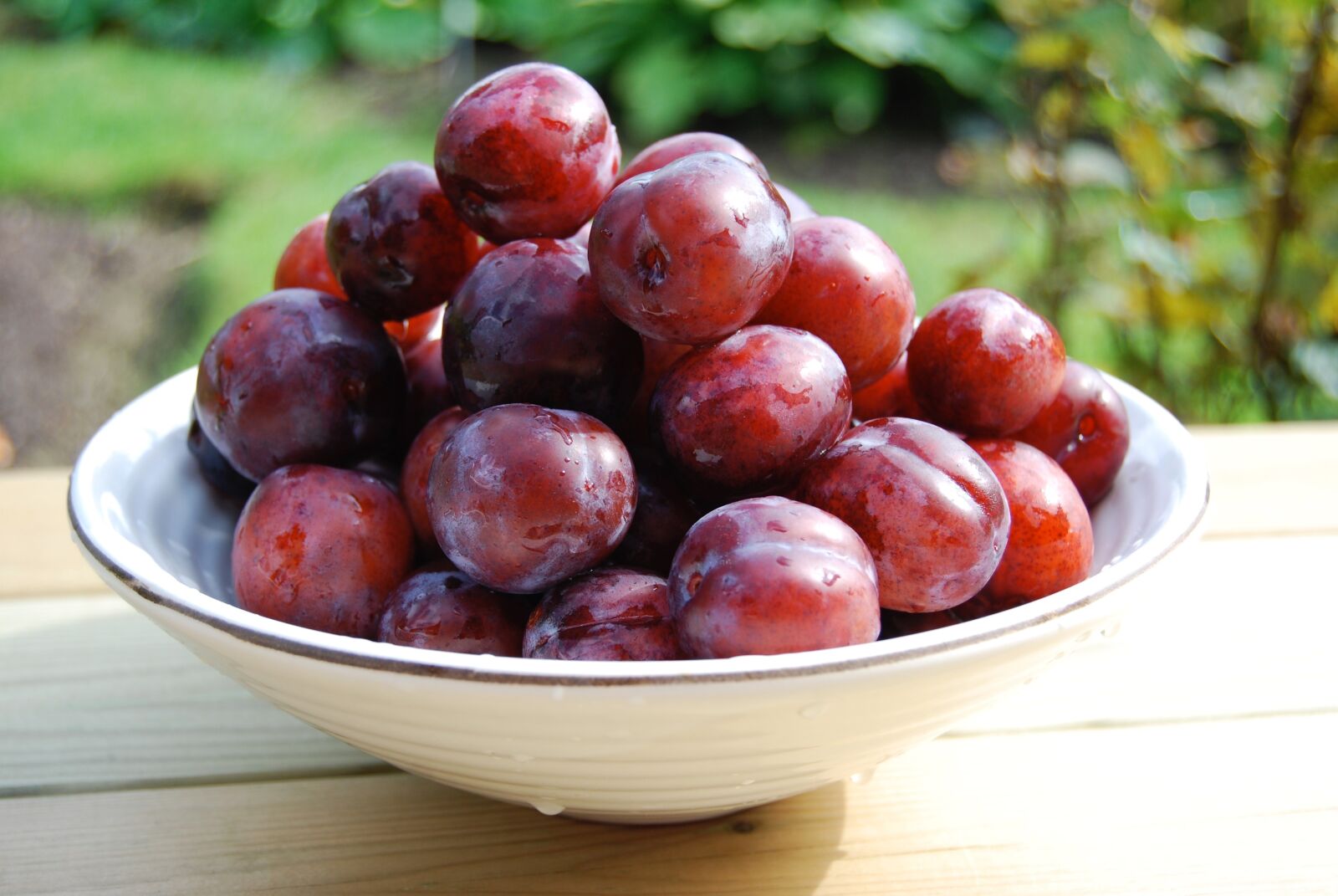 Nikon D40X sample photo. Plum, bowl, fruit photography