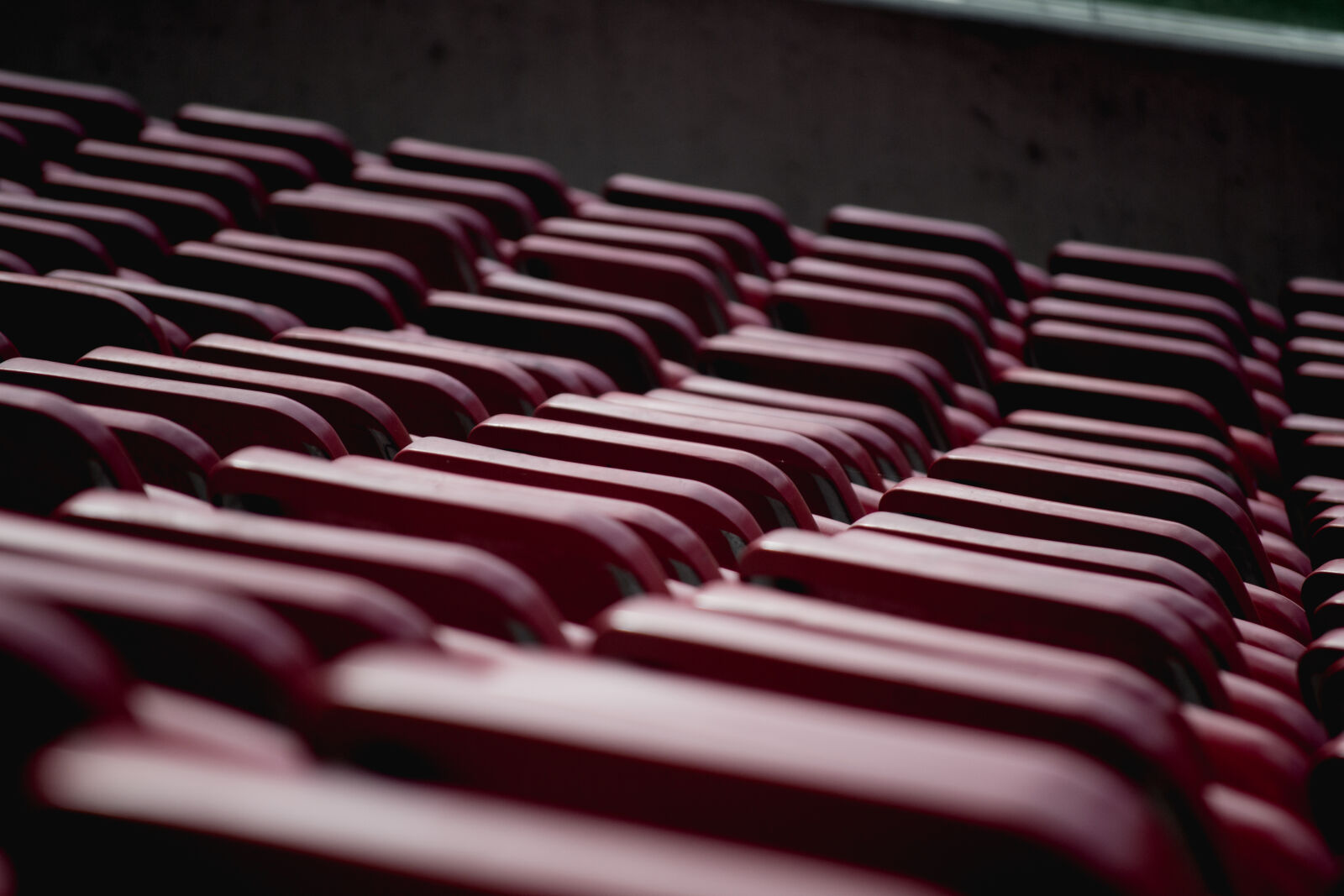 Nikon D3100 sample photo. Selective, focus, photograph, of photography