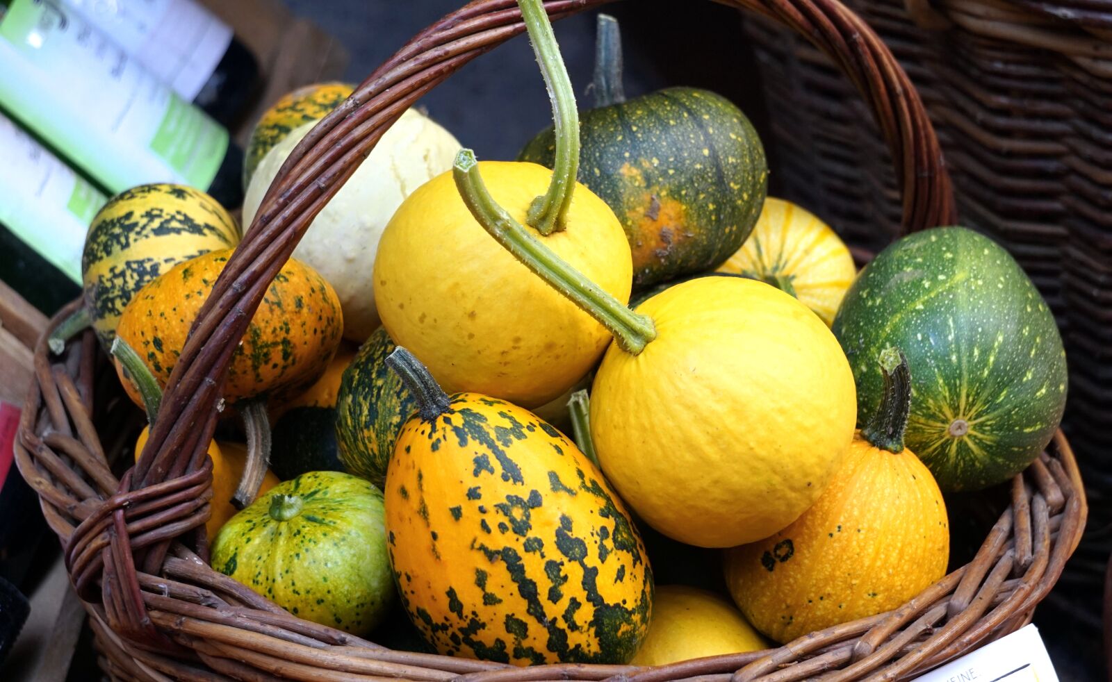 Sony Alpha a5000 (ILCE 5000) + Sony E 55-210mm F4.5-6.3 OSS sample photo. Pumpkin, basket, autumn photography