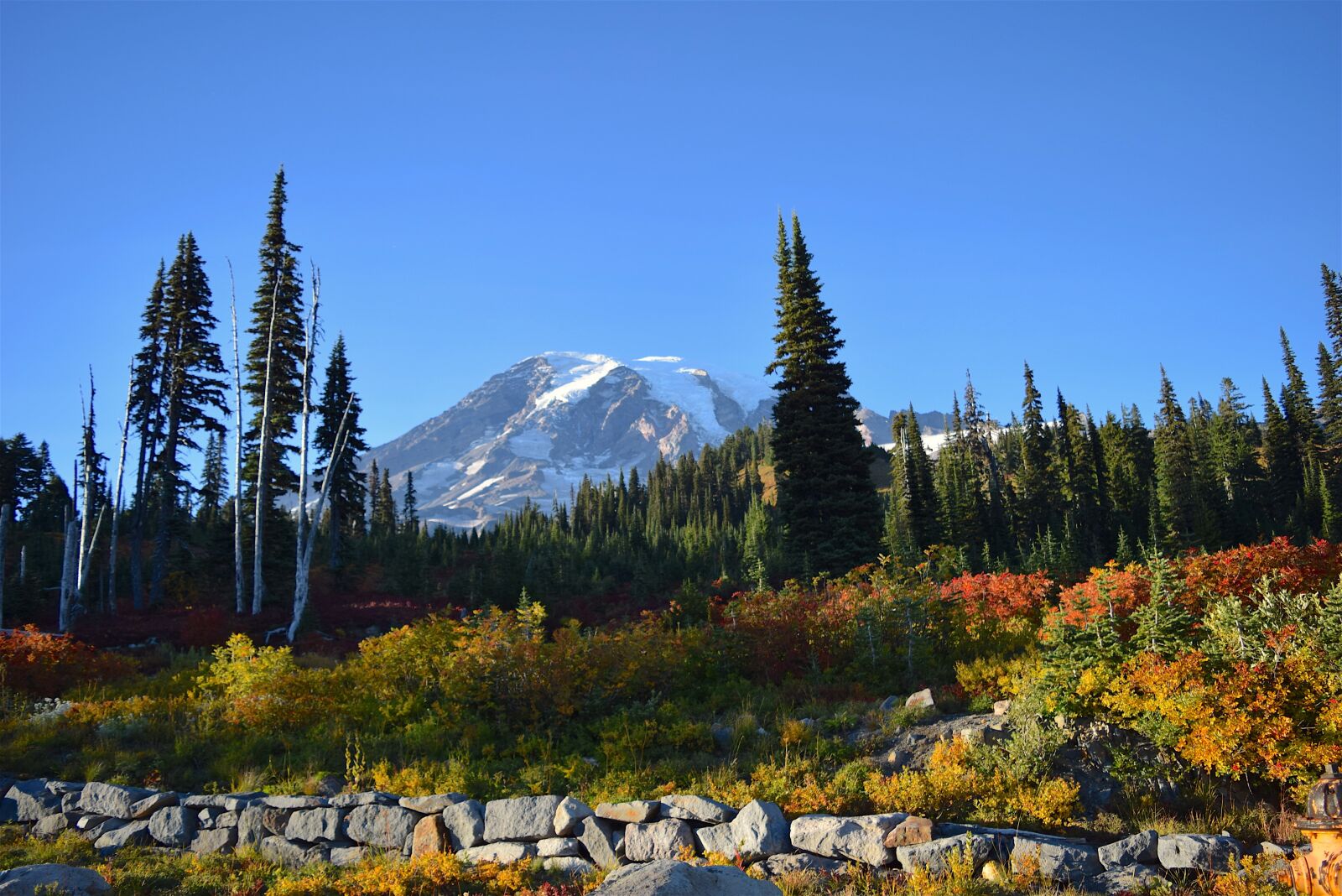 Nikon D3300 sample photo. Mountain, field, trees photography