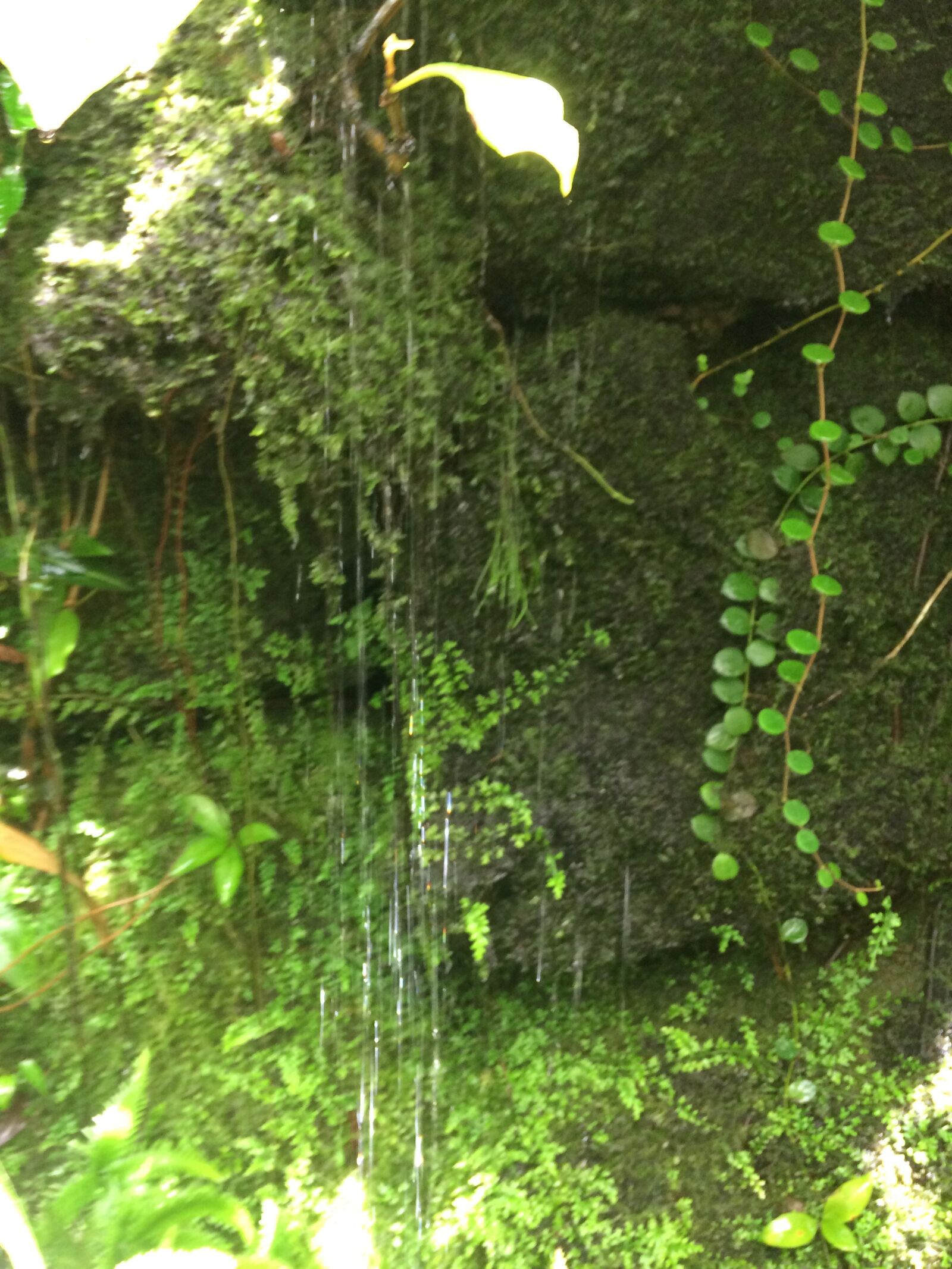 Apple iPhone 5s sample photo. Waterfall, green, nature photography