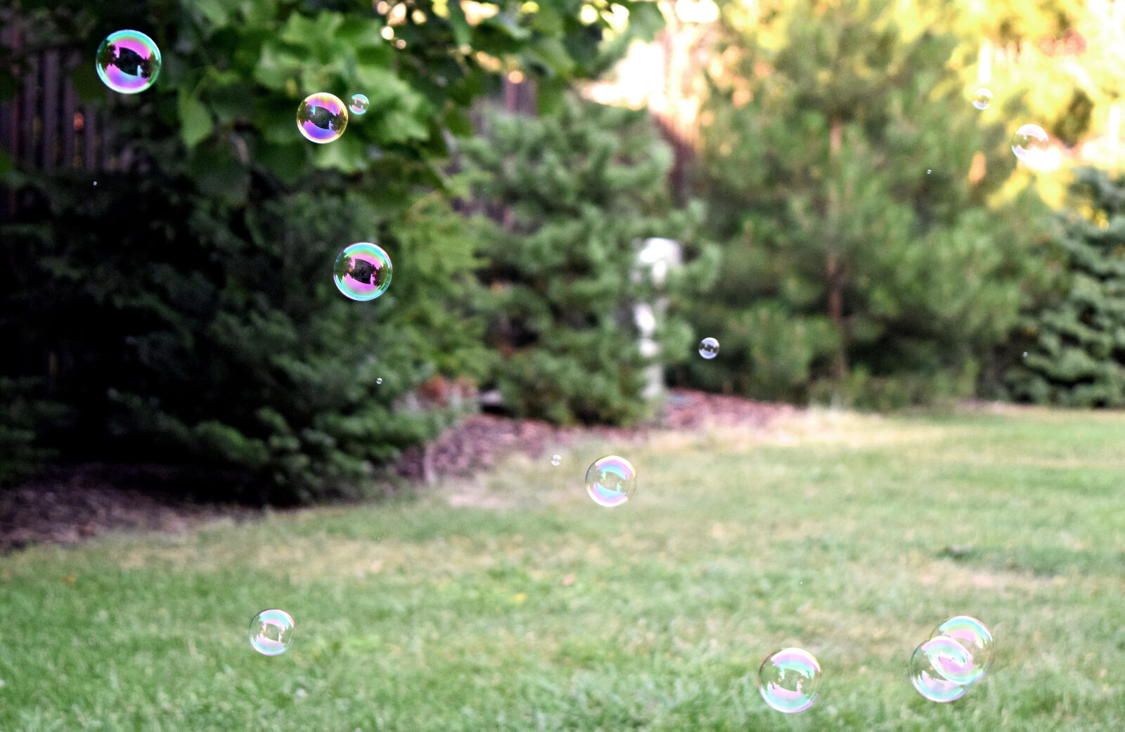 Nikon D3300 sample photo. Bubbles, grass, lawn photography