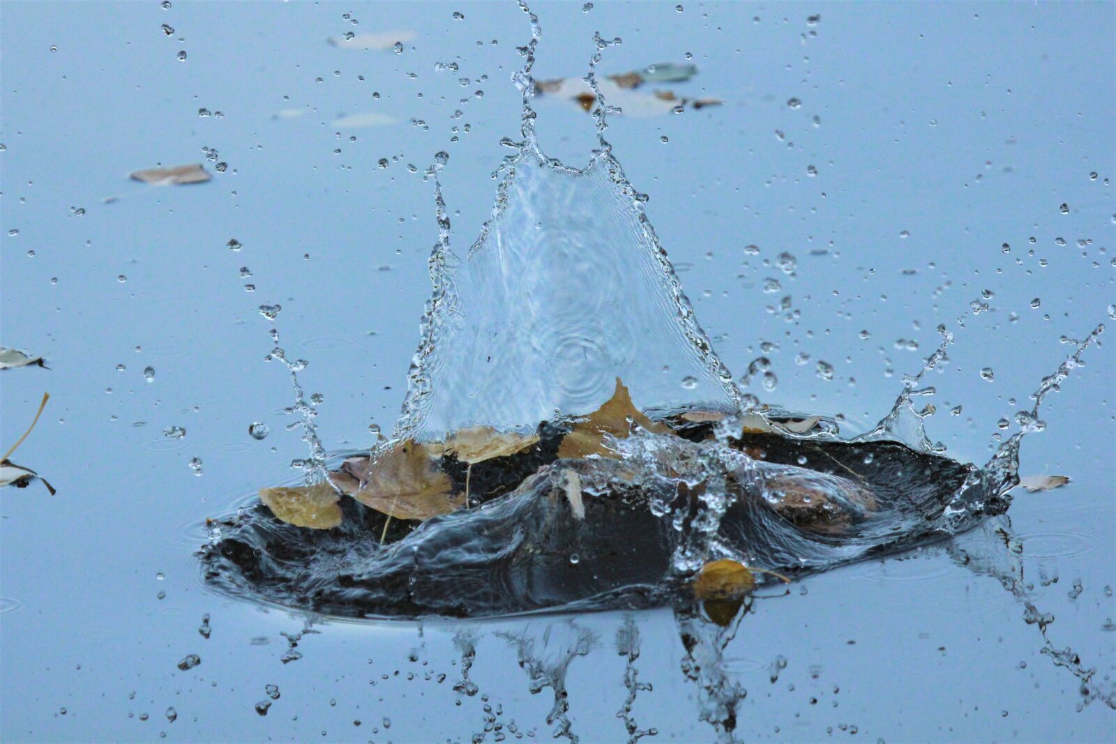 Canon EOS 550D (EOS Rebel T2i / EOS Kiss X4) sample photo. Water, drop of water photography